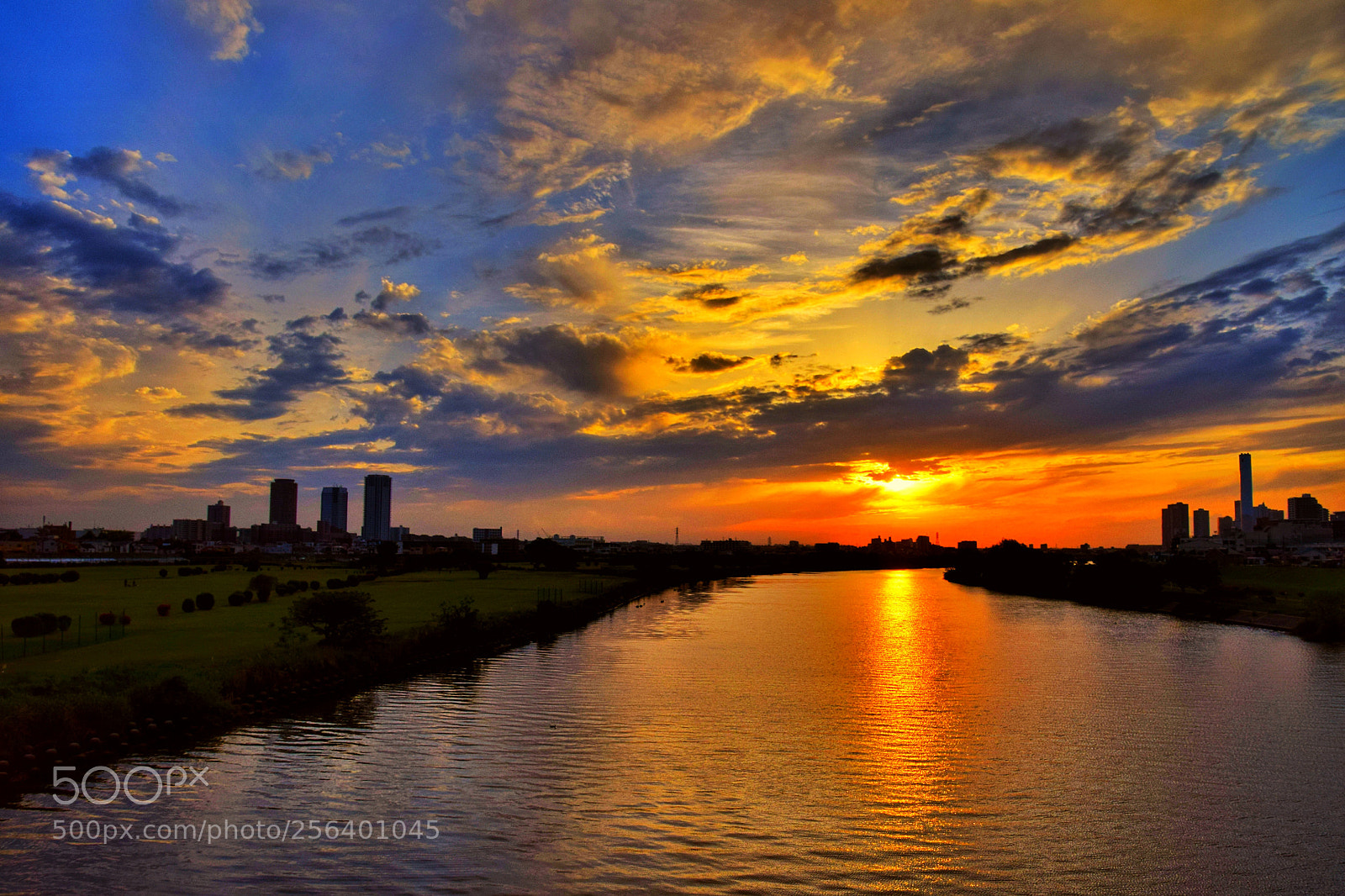 Nikon D3300 sample photo. Sunset tama river (2) photography