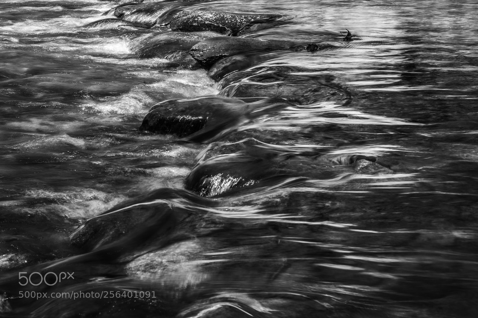 Nikon D850 sample photo. Flowing photography