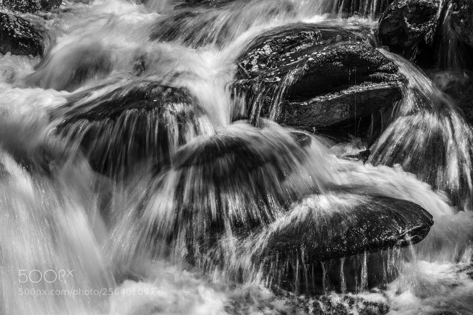 Nikon D850 sample photo. Cascade photography