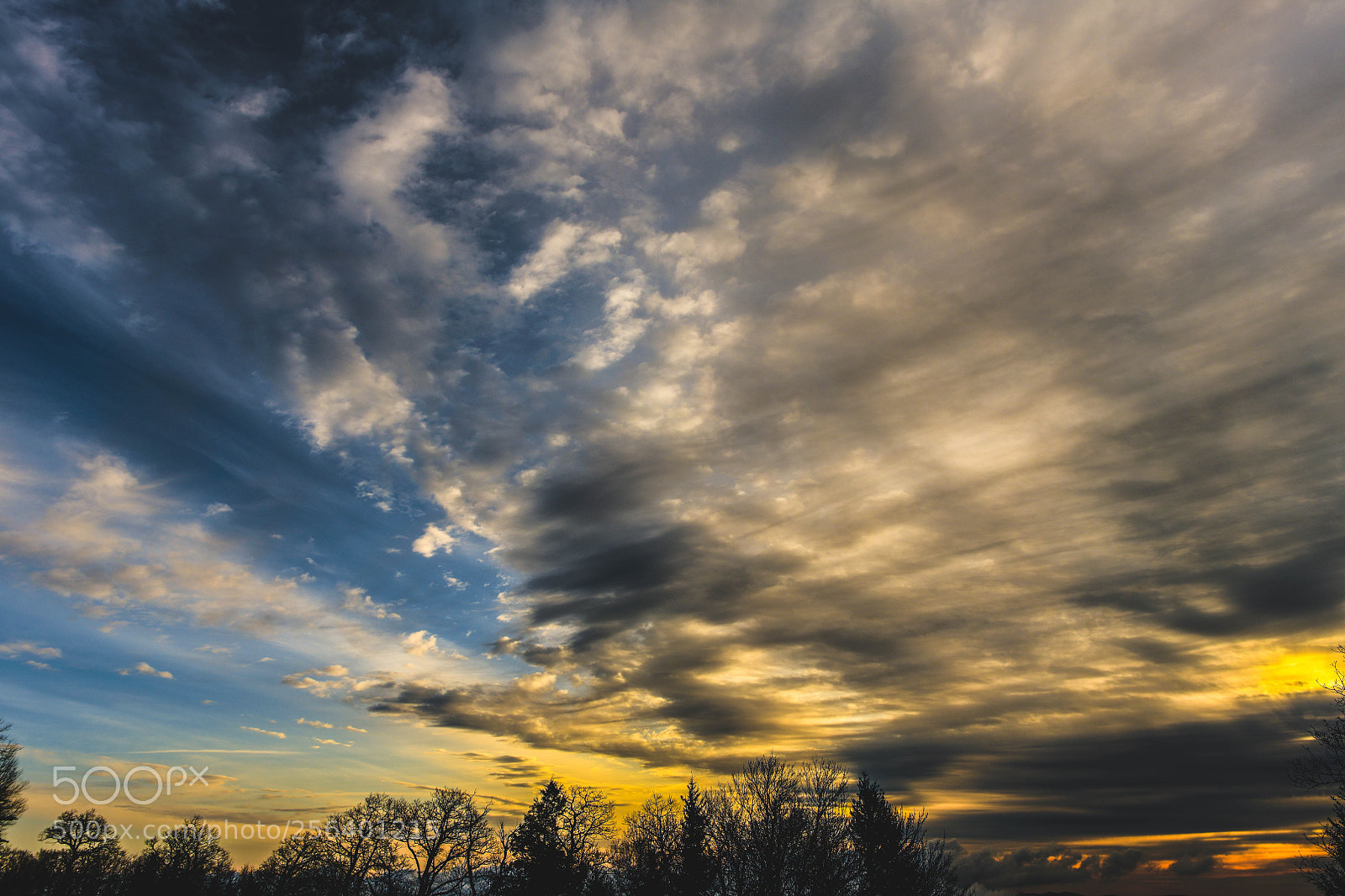 Nikon D850 sample photo. Untitled photography