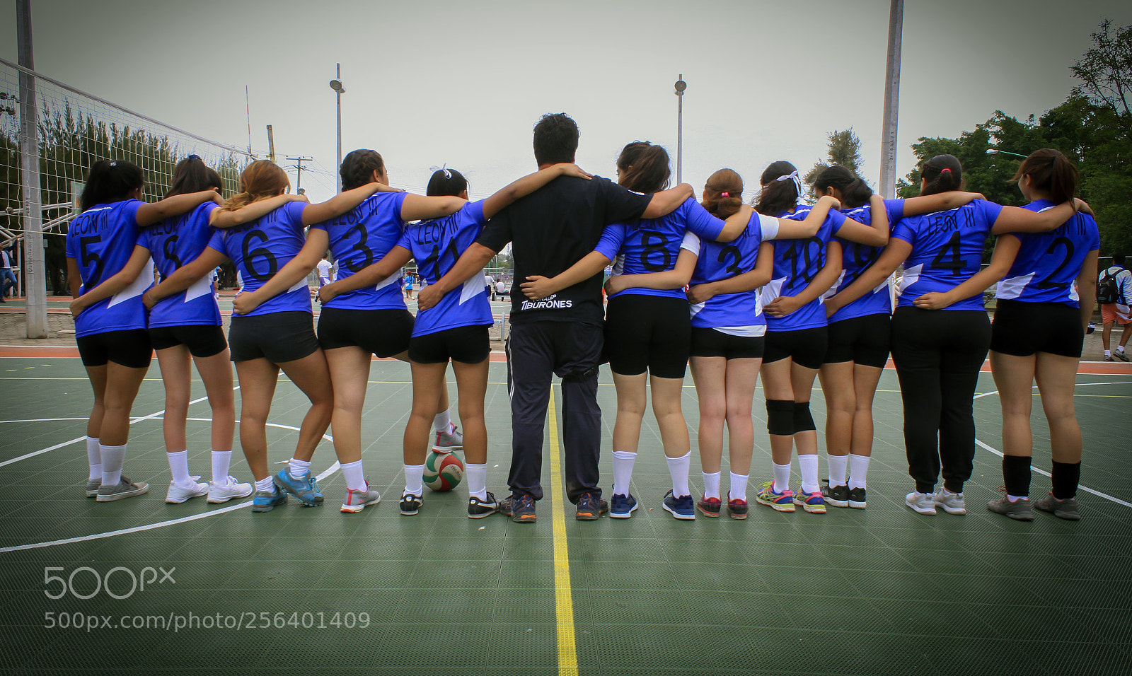 Canon EOS 7D sample photo. The champions photography