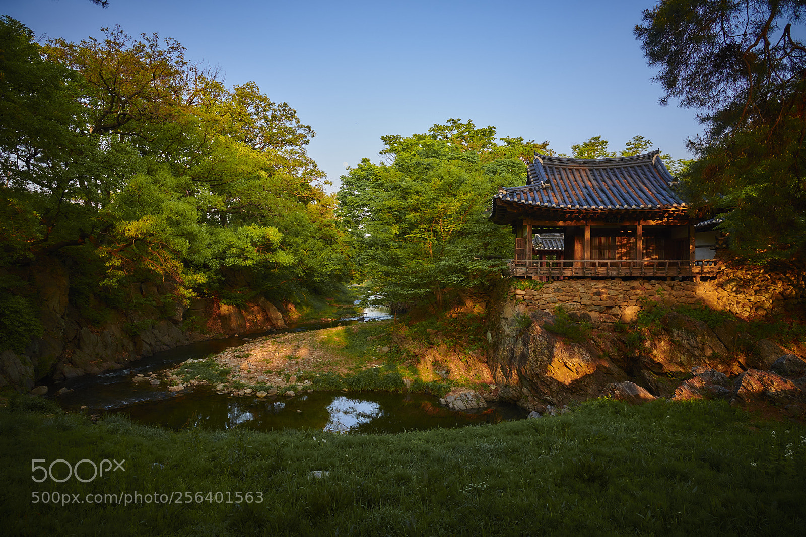 Nikon D850 sample photo. 예천블로그용 dsc photography