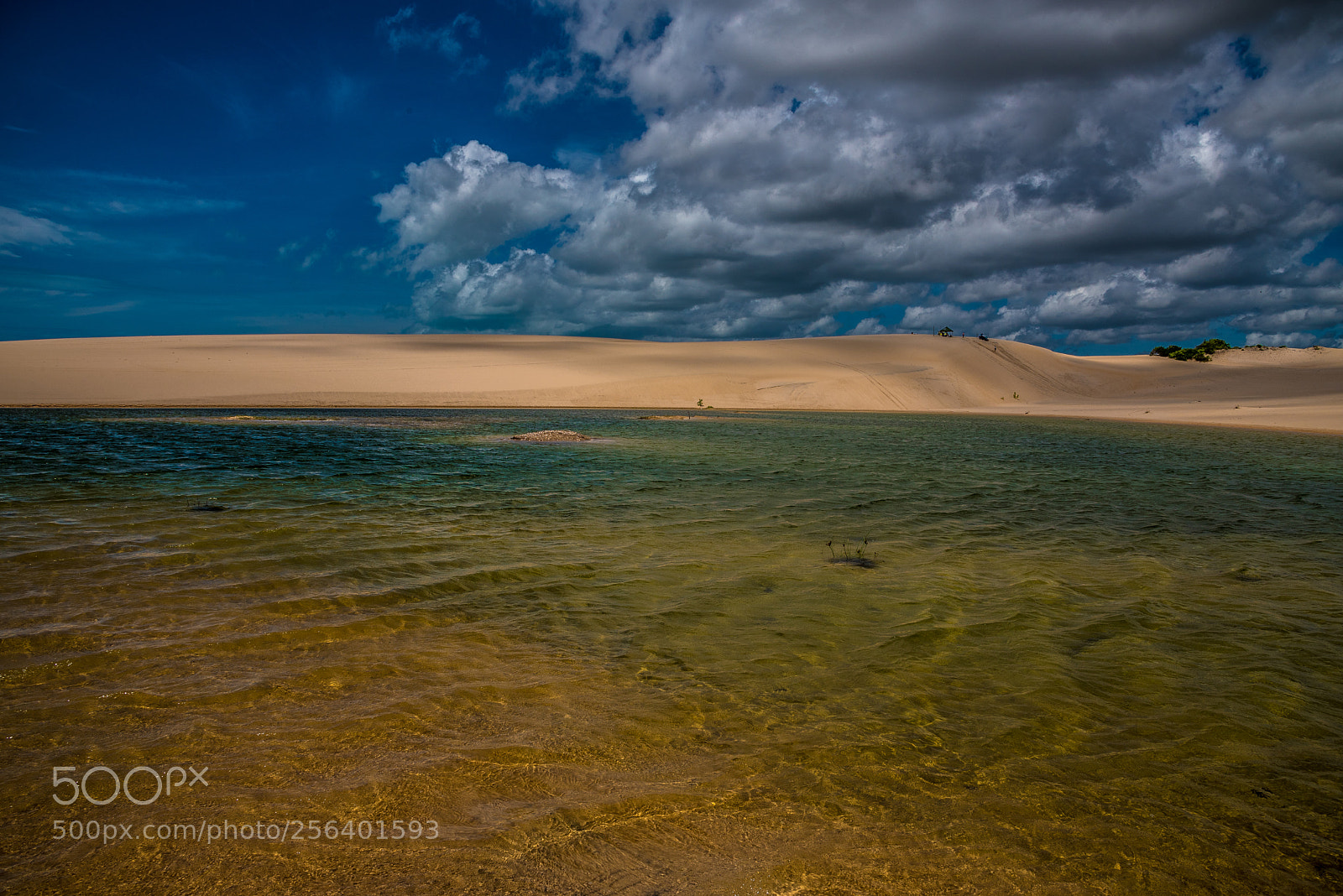 Nikon D750 sample photo. Lagoon in the dunes photography