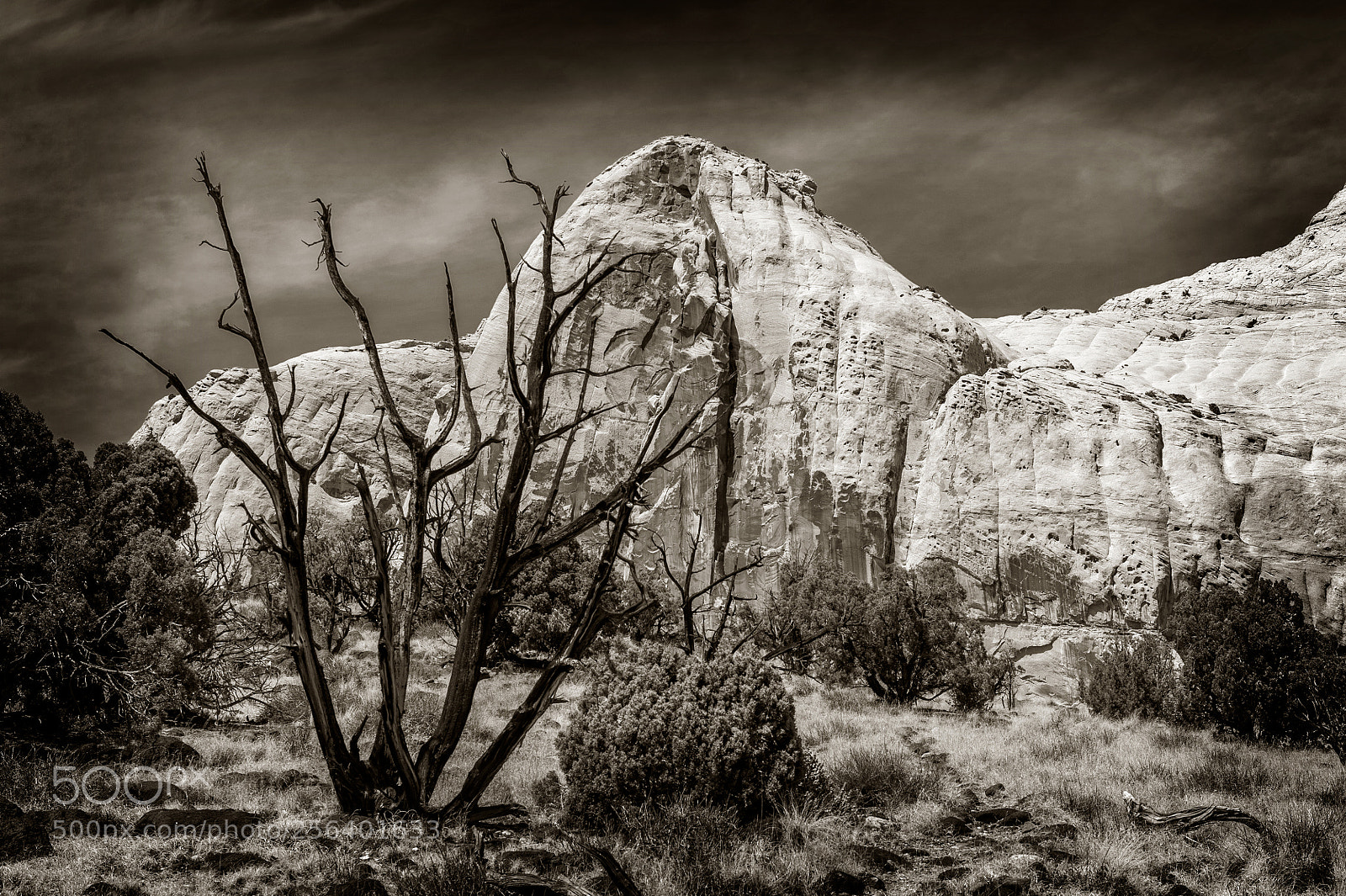 Nikon D700 sample photo. Capitol reef, utah photography