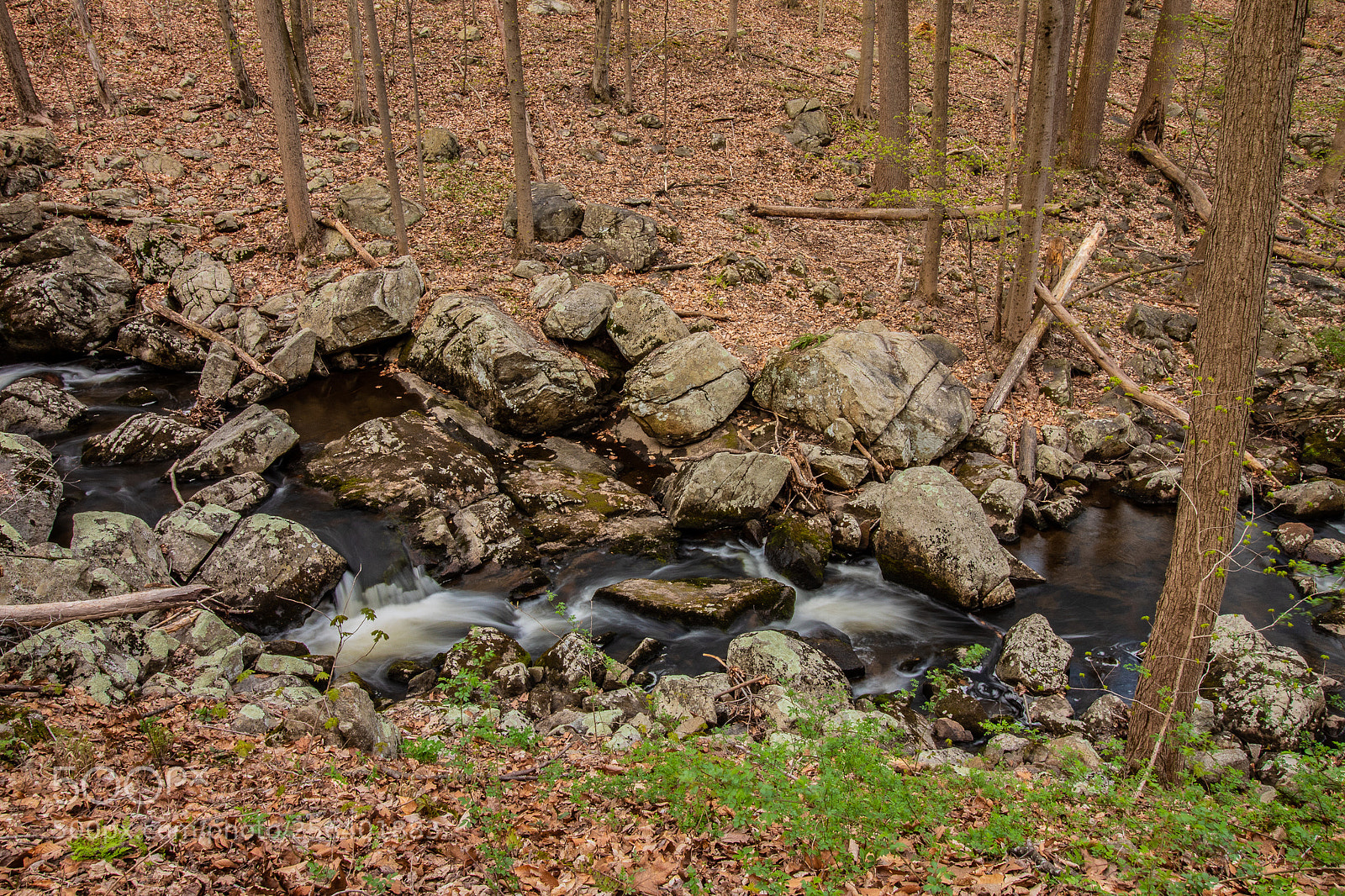 Canon EOS 1300D (EOS Rebel T6 / EOS Kiss X80) sample photo. Hollow brook river photography