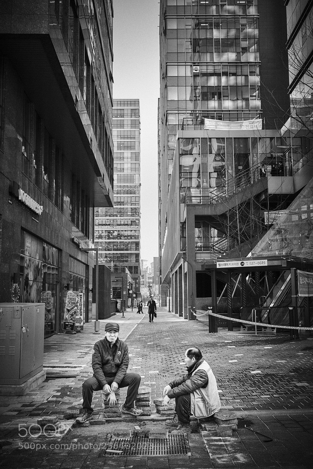 Nikon D850 sample photo. 문정동블로그용 dsc photography