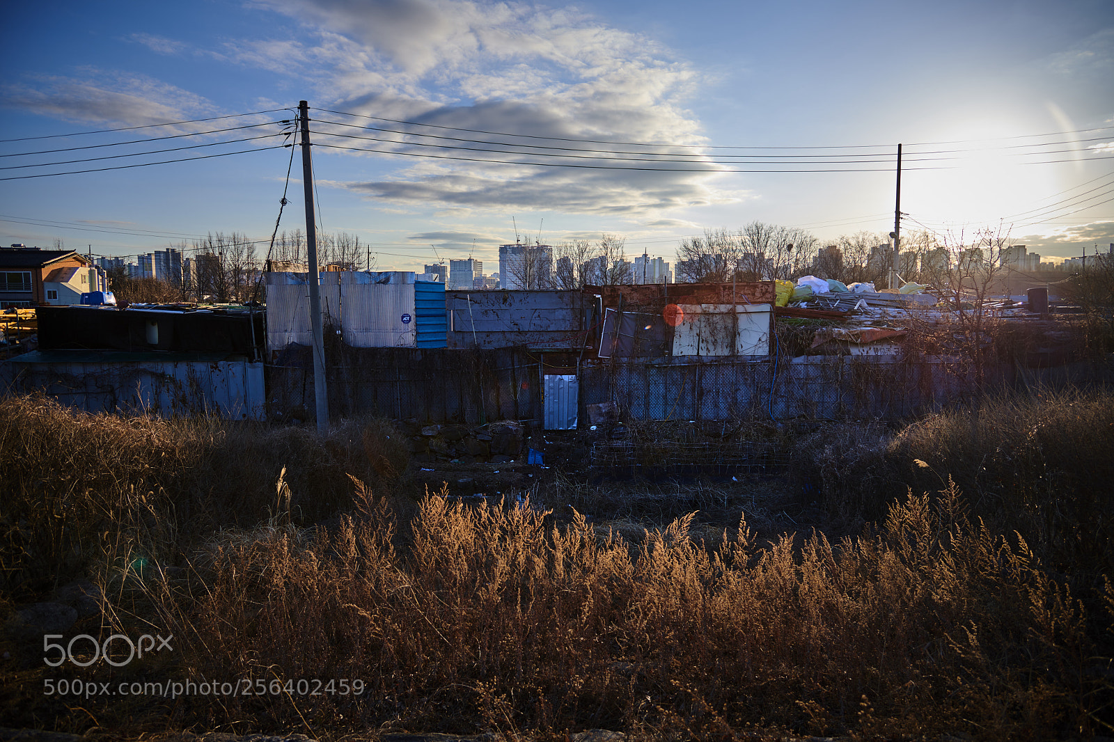 Nikon D850 sample photo. 맑은날역광의미사리블로그용 dsc photography