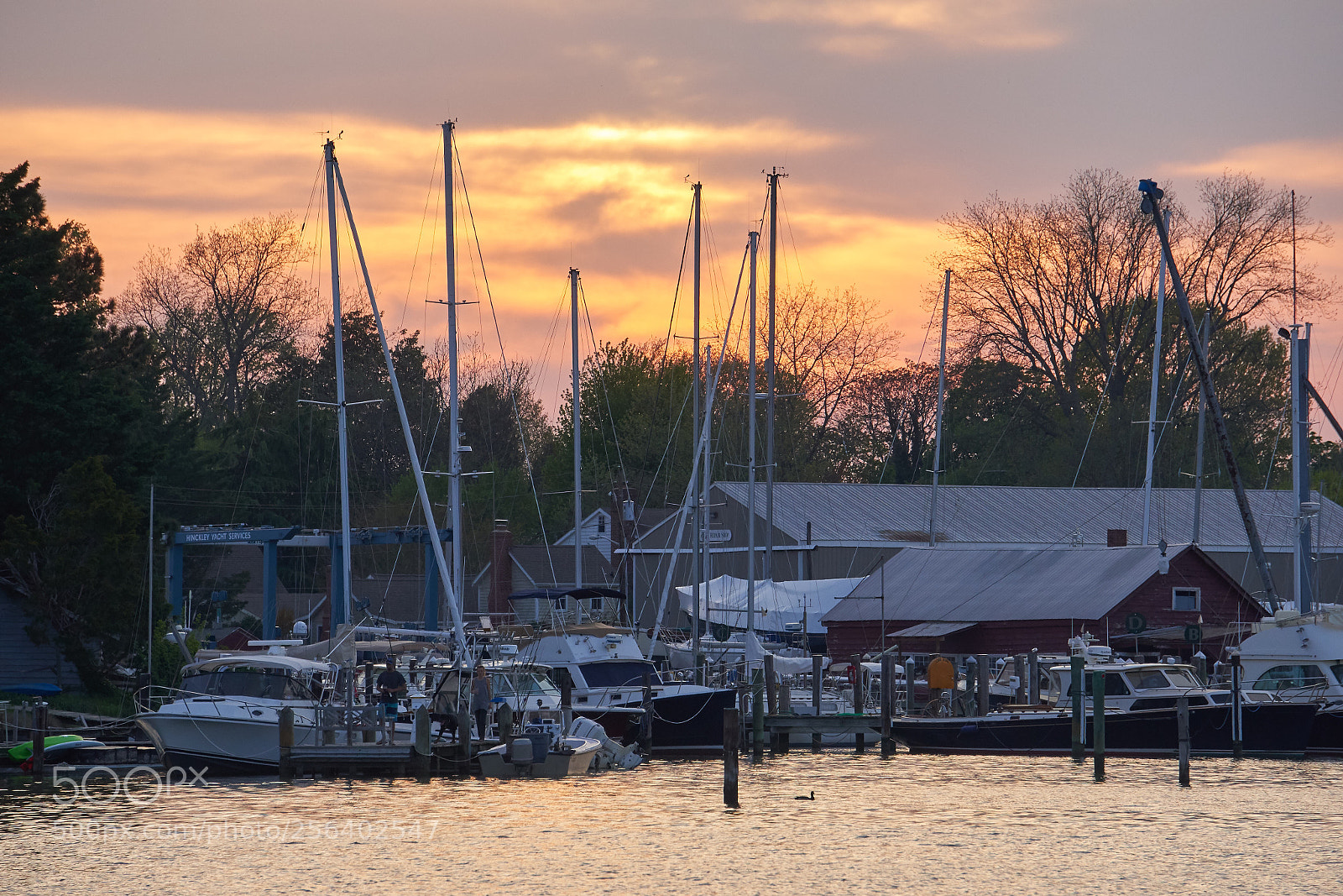 Sony a7R III sample photo. Sunset at the marina photography