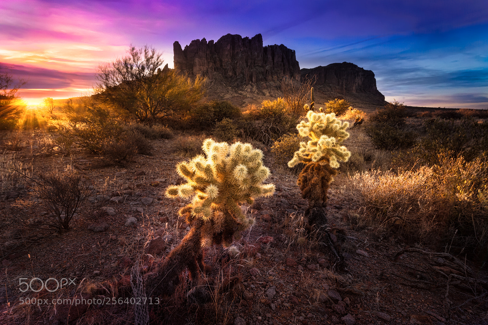 Nikon D850 sample photo. Superstition photography