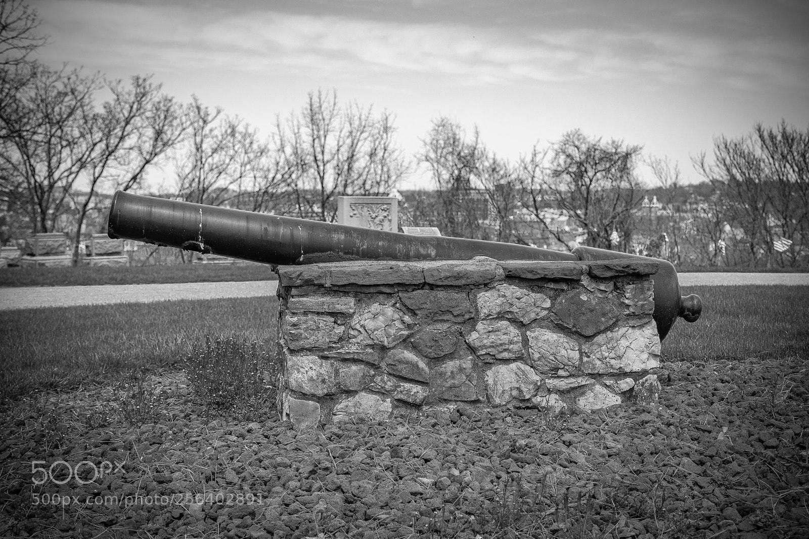 Nikon D7200 sample photo. Washington cemetery photography