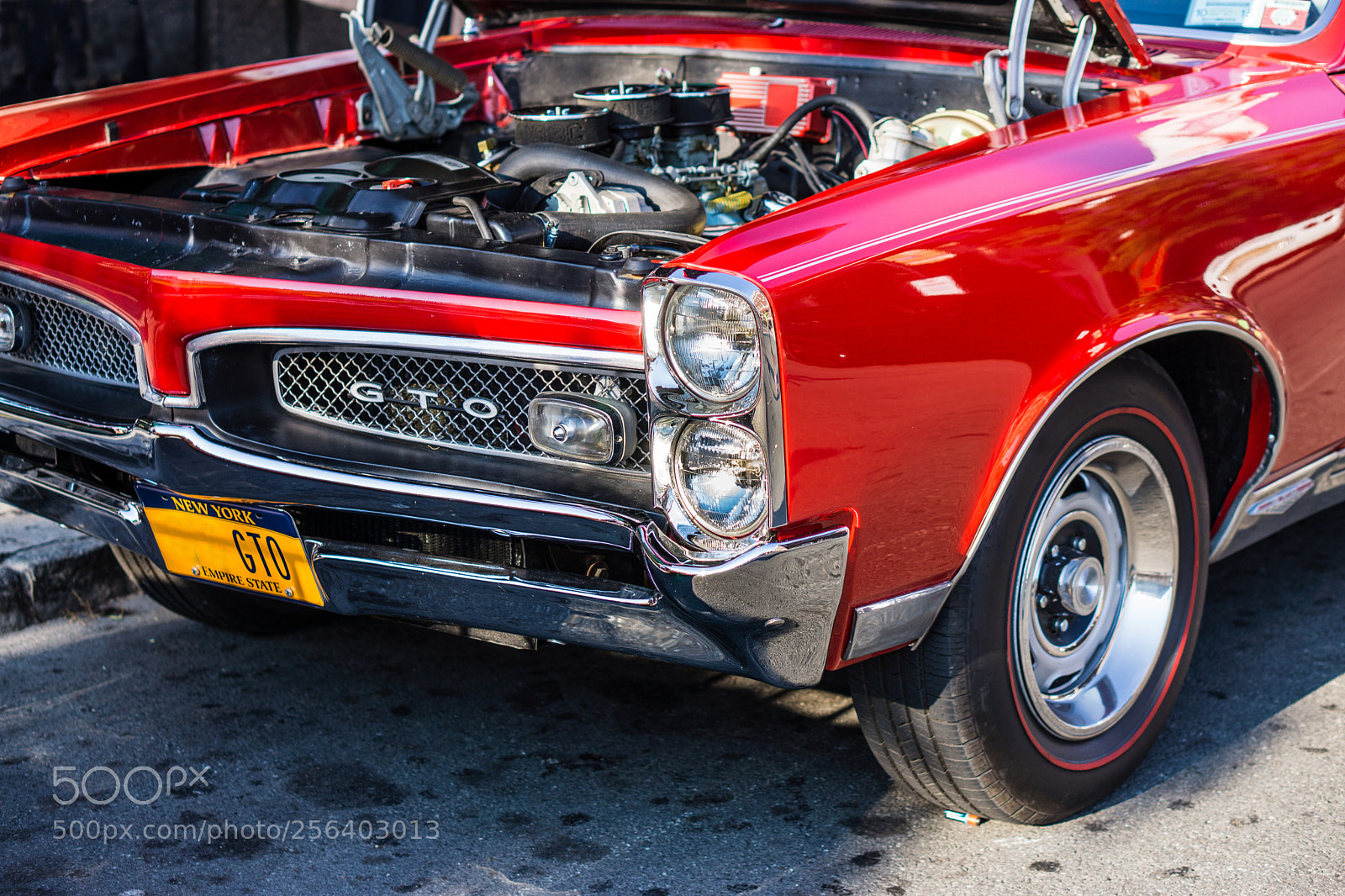 Sony Alpha NEX-7 sample photo. Red gto photography