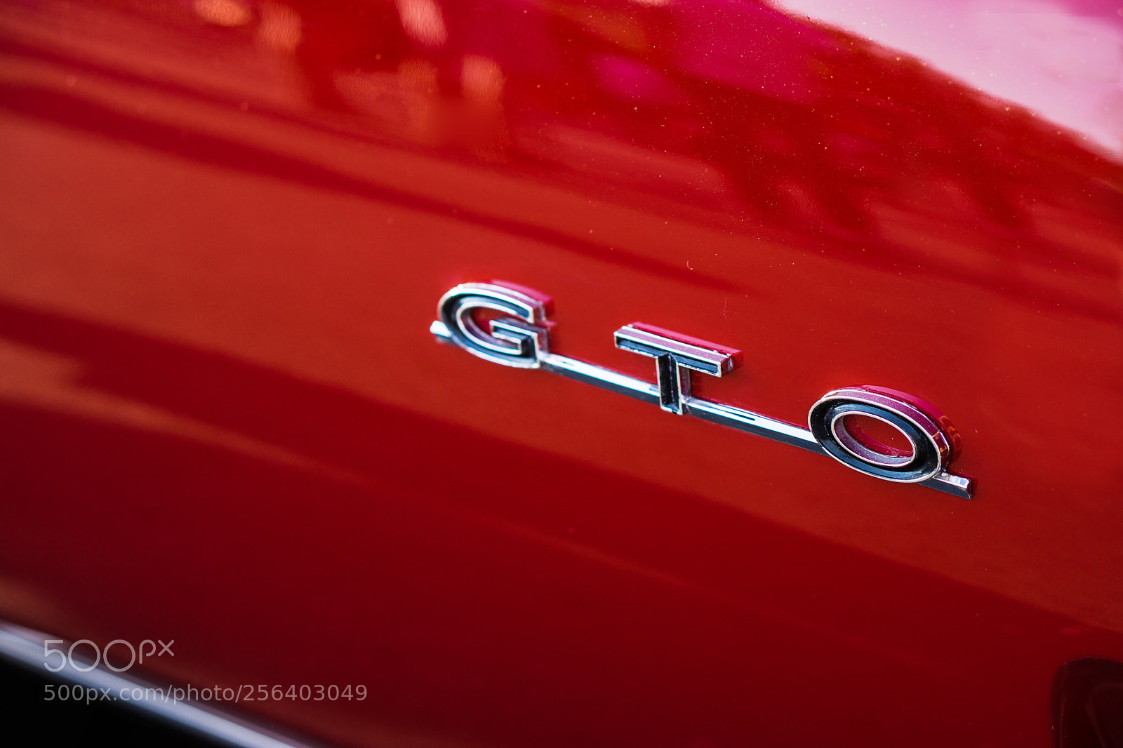 Sony Alpha NEX-7 sample photo. Goat photography