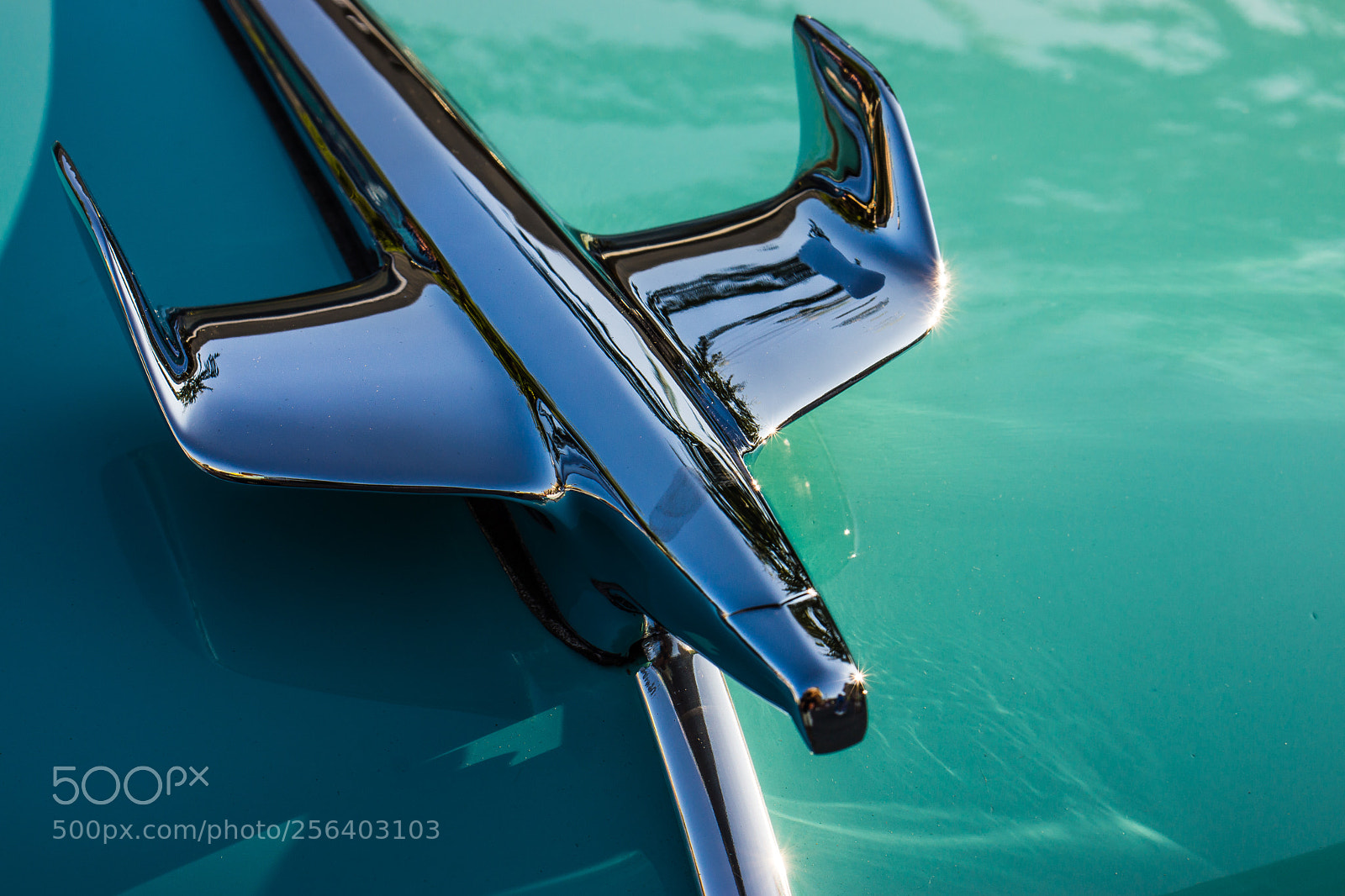 Sony Alpha NEX-7 sample photo. Chrome eagle photography