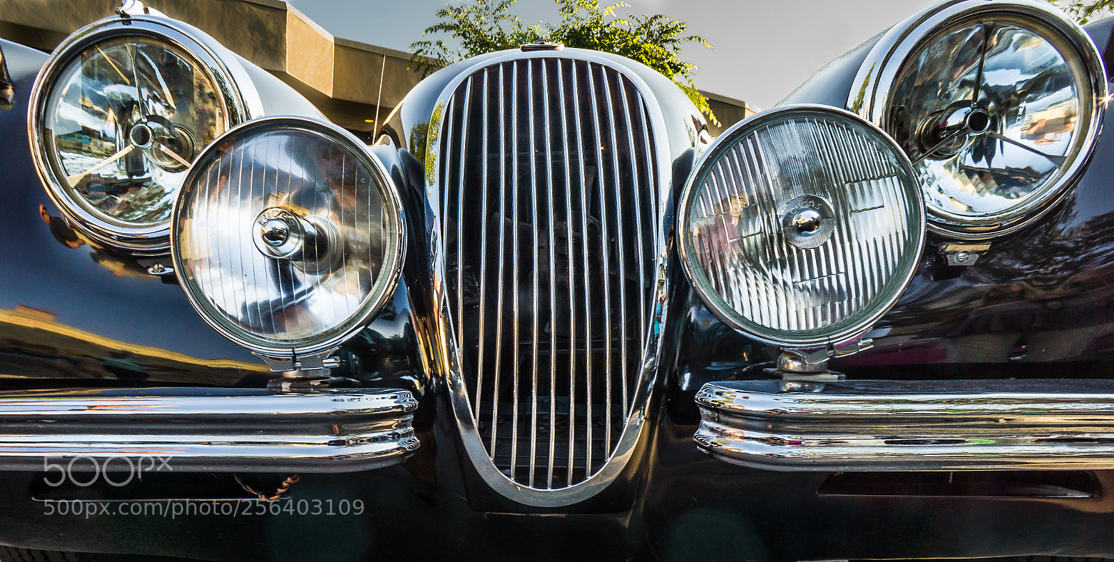 Sony Alpha NEX-7 sample photo. Bugeye photography