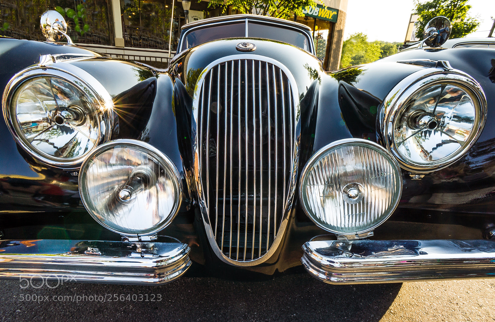 Sony Alpha NEX-7 sample photo. Bugeye-2 photography