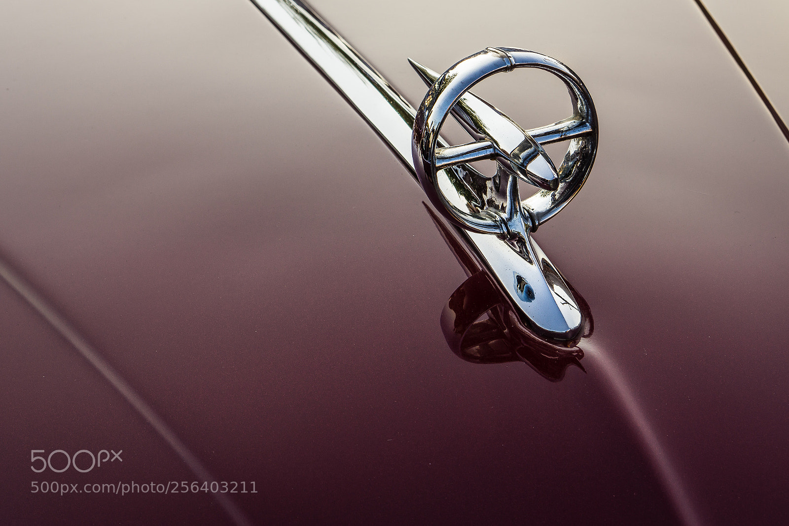 Sony Alpha NEX-7 sample photo. Leads the way photography