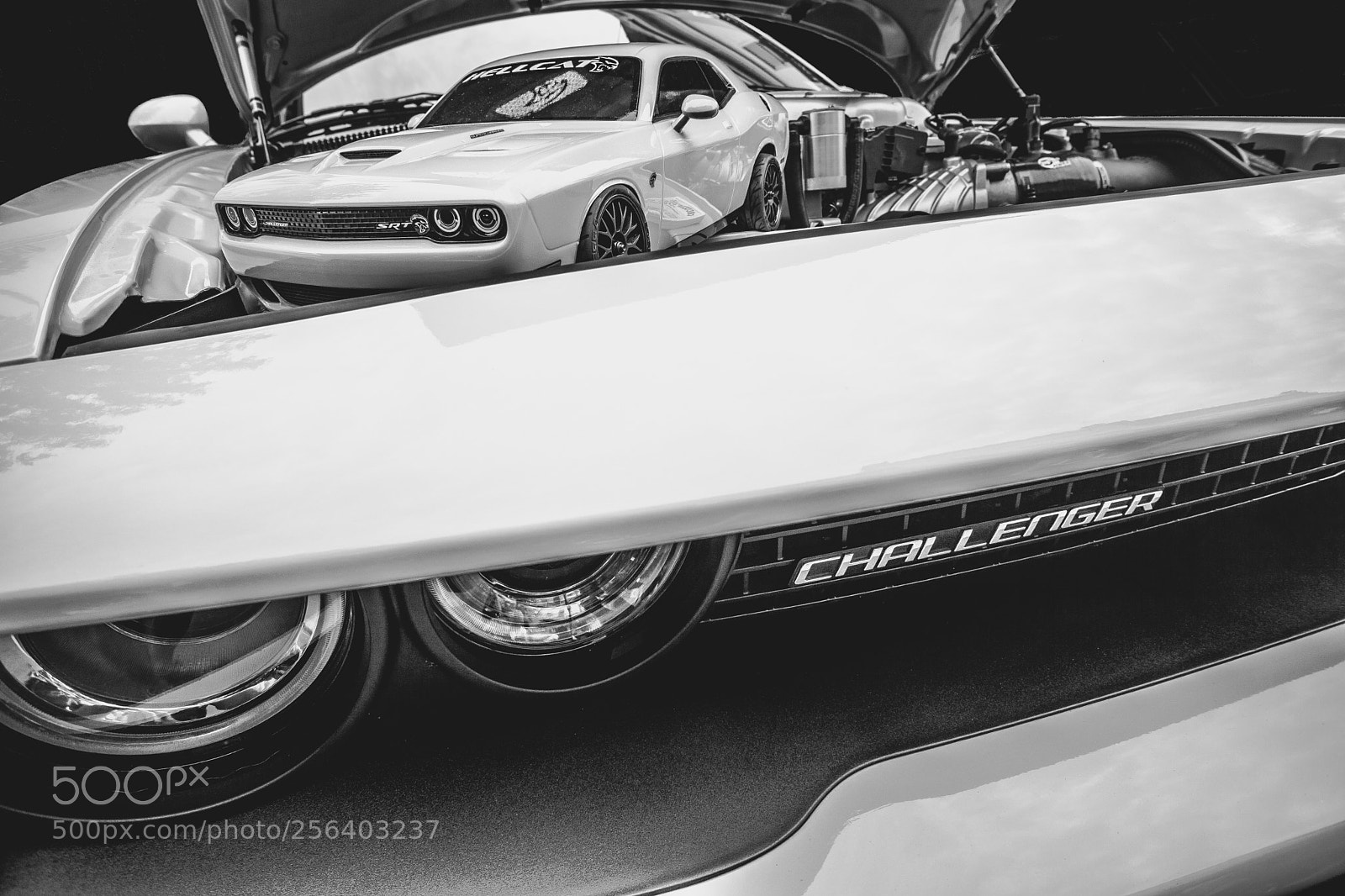 Sony Alpha NEX-7 sample photo. Hellcat challenger photography