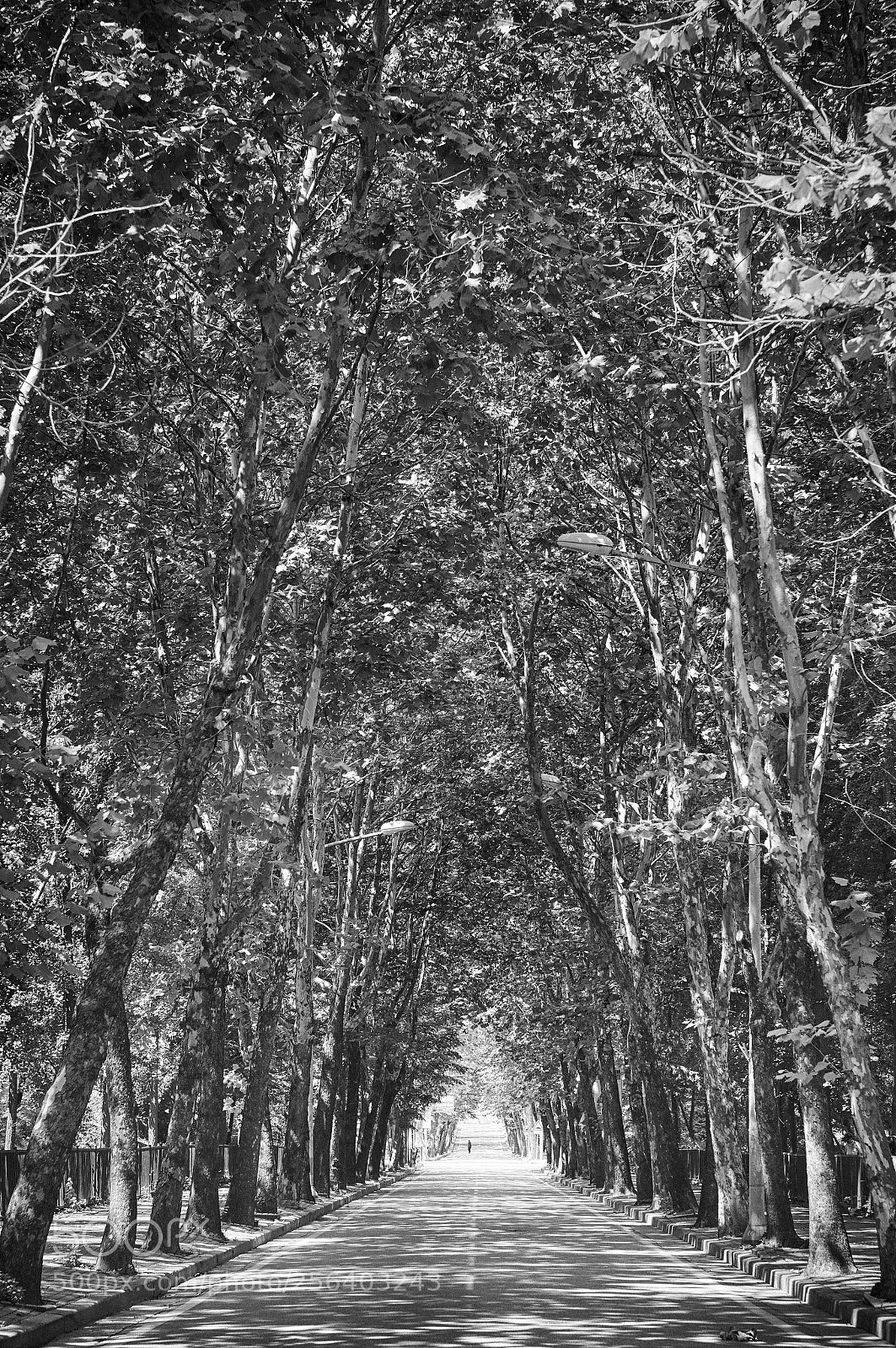 Pentax K-3 sample photo. 고덕주공가로수길블로그용imgp photography
