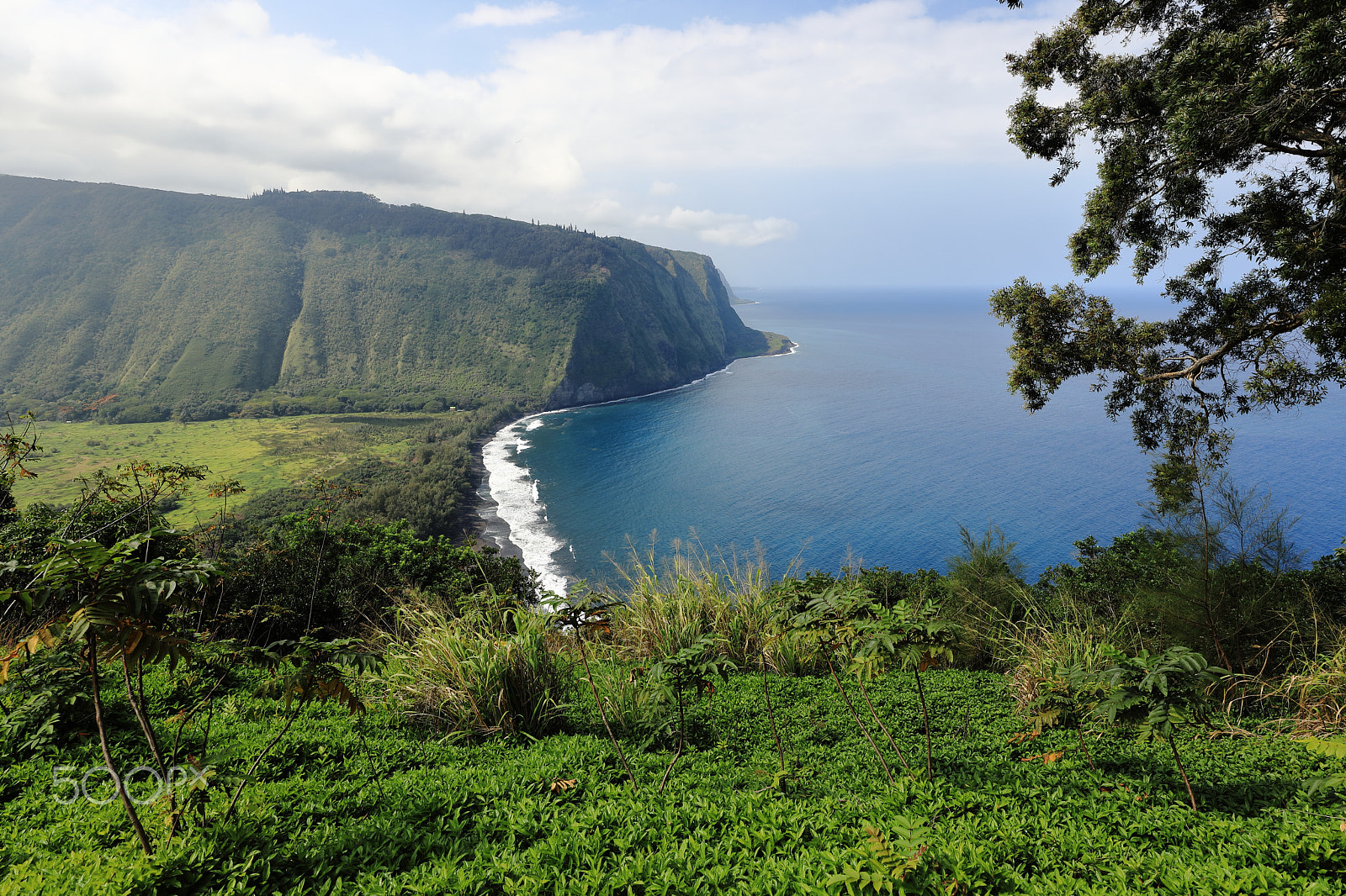 Canon EOS 5D Mark IV + Canon EF 16-35mm F2.8L III USM sample photo. Waipiʻo valley lookout photography