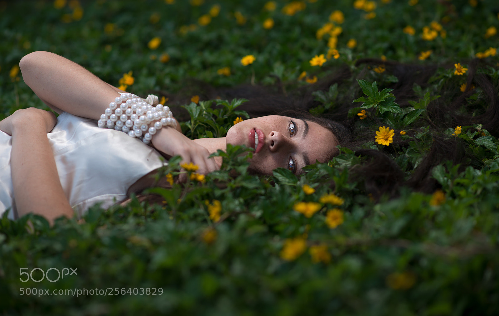 Nikon D800 sample photo. Alista srgb photography
