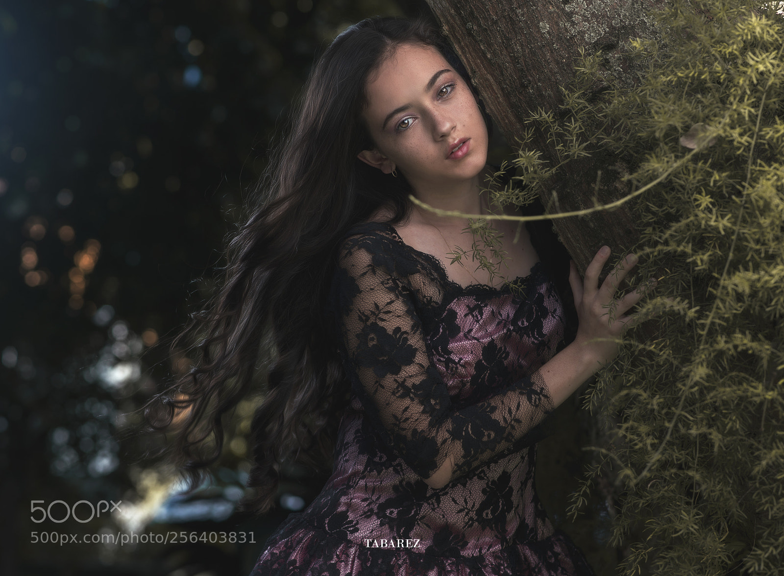 Nikon D800 sample photo. Clista srgb photography