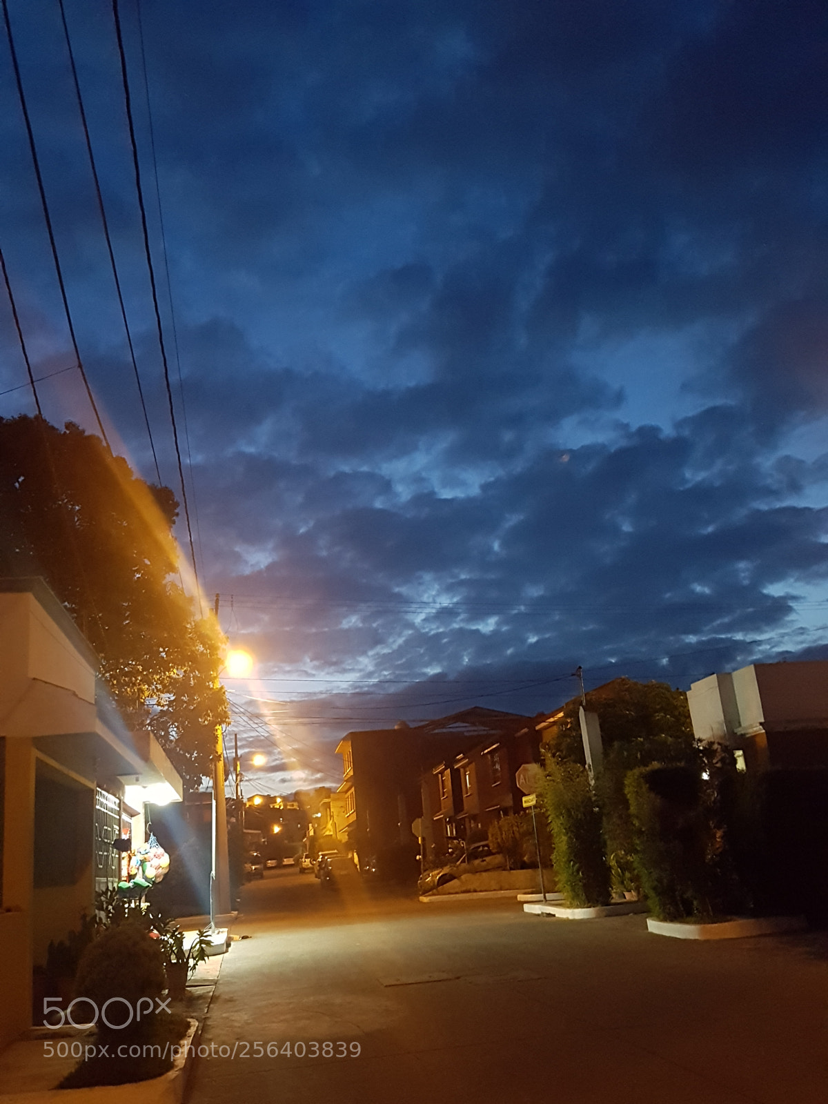 Samsung Galaxy S7 Edge sample photo. Untitled photography