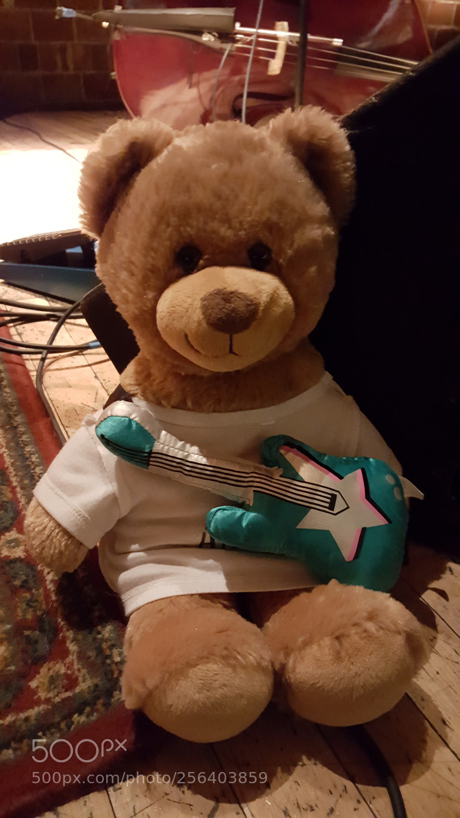 Samsung Galaxy S6 sample photo. The bear photography