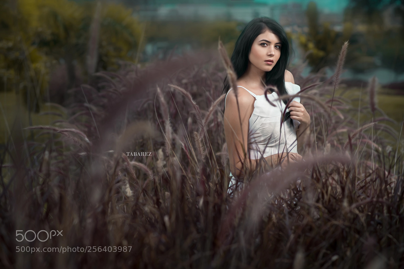 Nikon D800 sample photo. A lista srgb photography