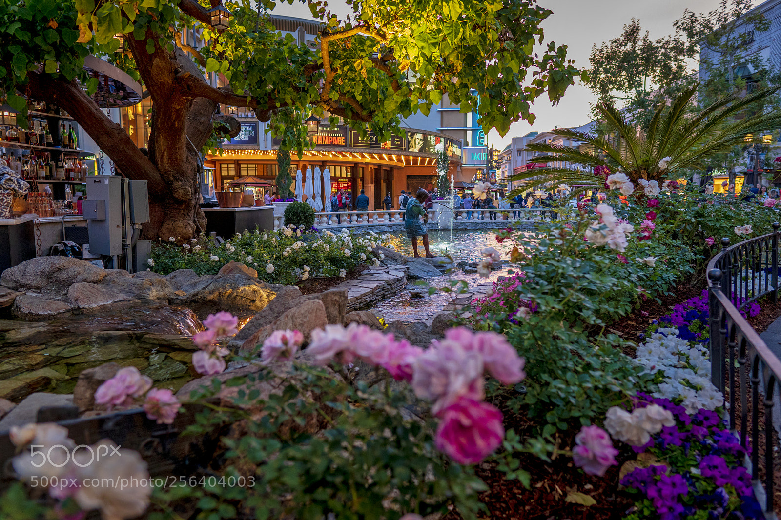 Sony a6300 sample photo. The grove shopping photography