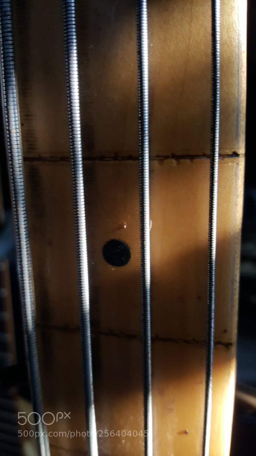 Samsung Galaxy S6 sample photo. Fretless photography