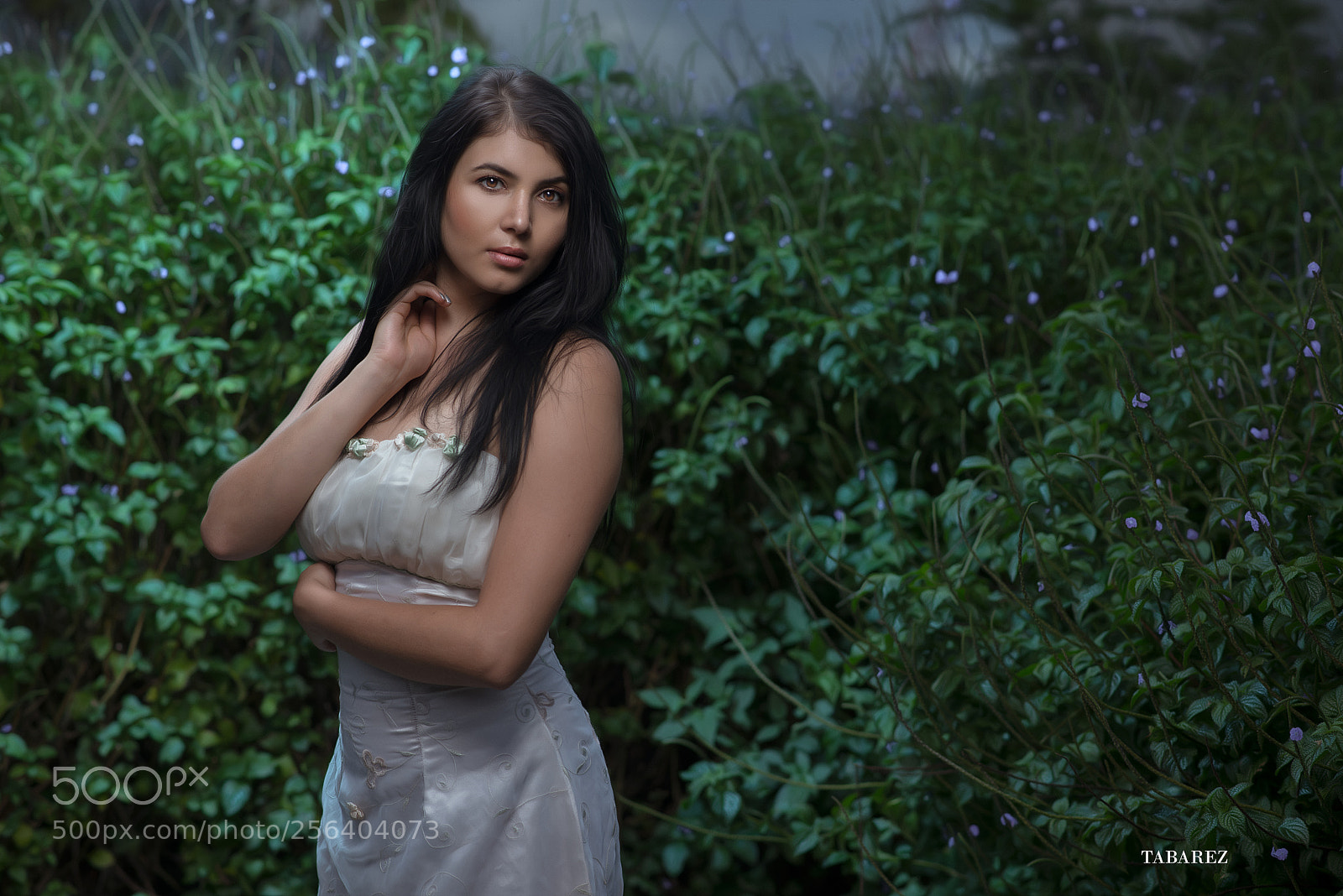 Nikon D800 sample photo. Alista srgb photography