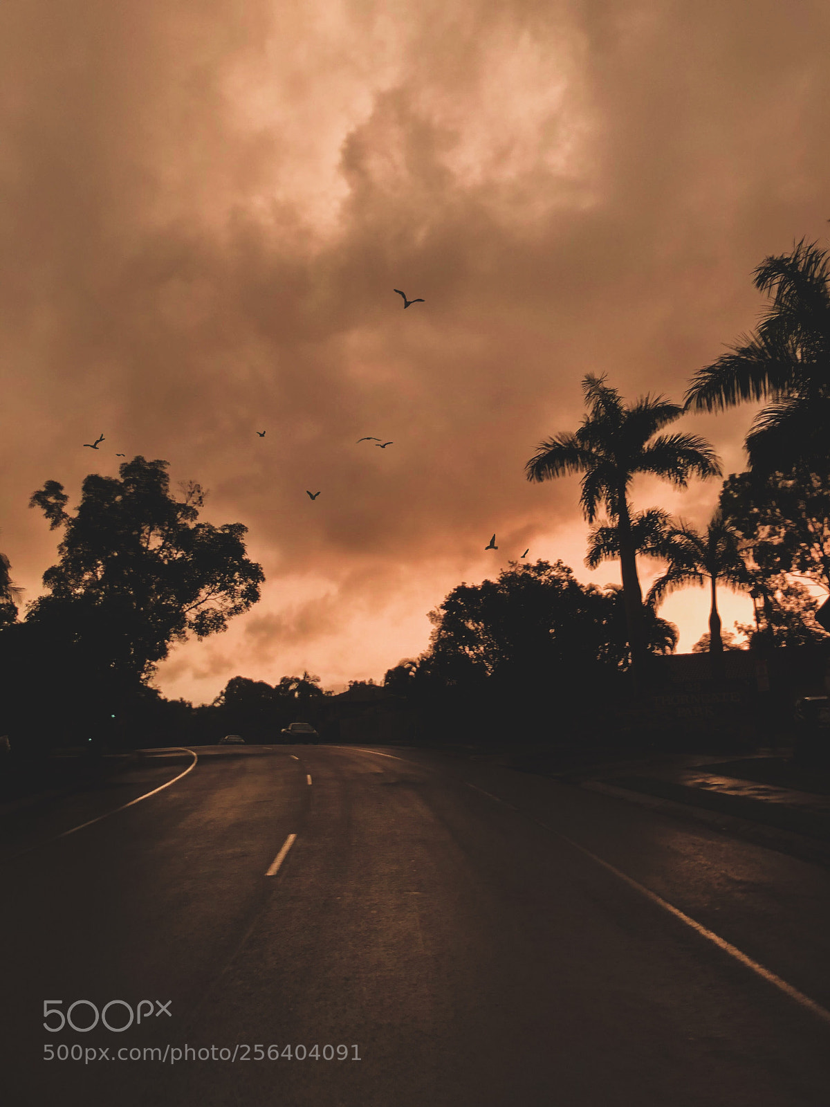 Apple iPhone X sample photo. Stormy sunsets photography