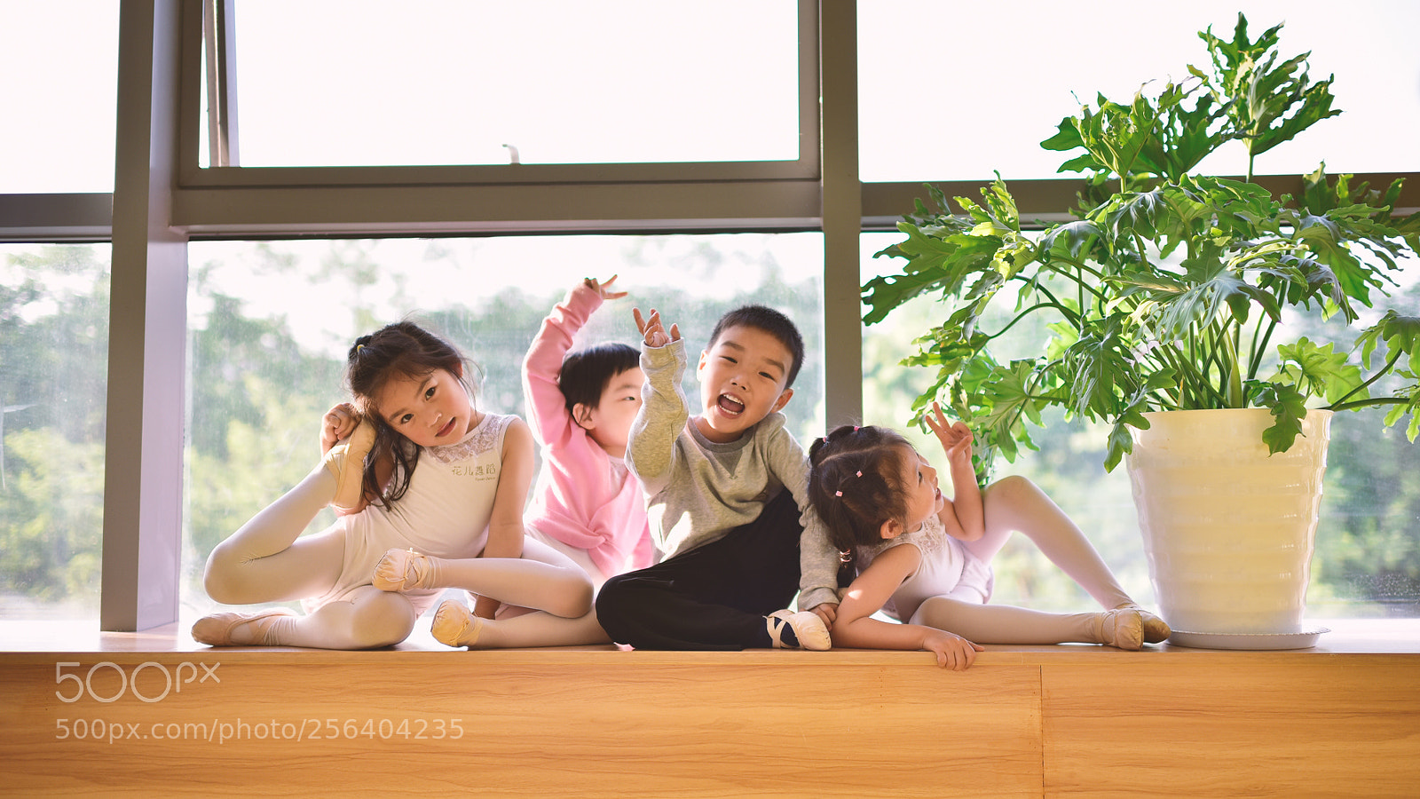 Nikon D750 sample photo. Untitled photography