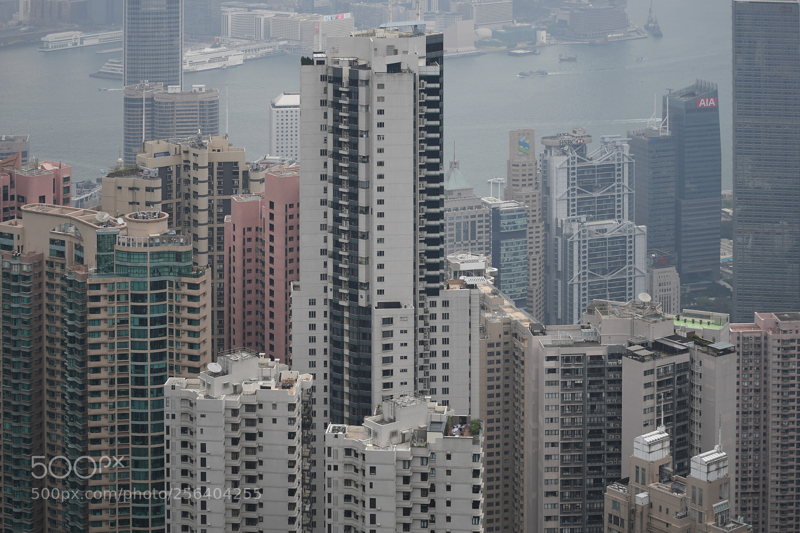 Nikon D500 sample photo. Hong kong photography