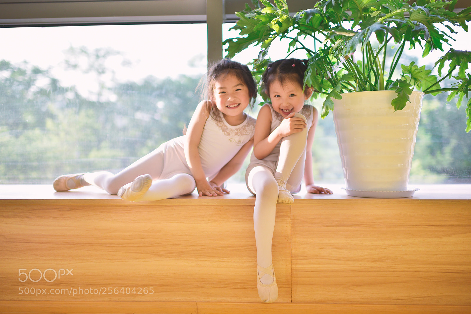 Nikon D750 sample photo. Untitled photography