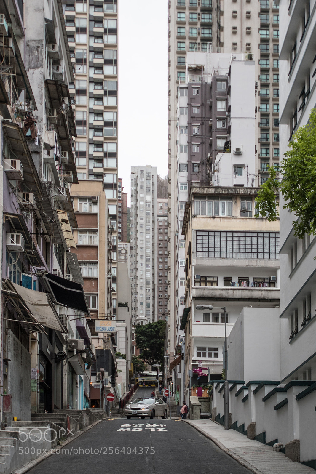 Nikon D500 sample photo. Hong kong photography
