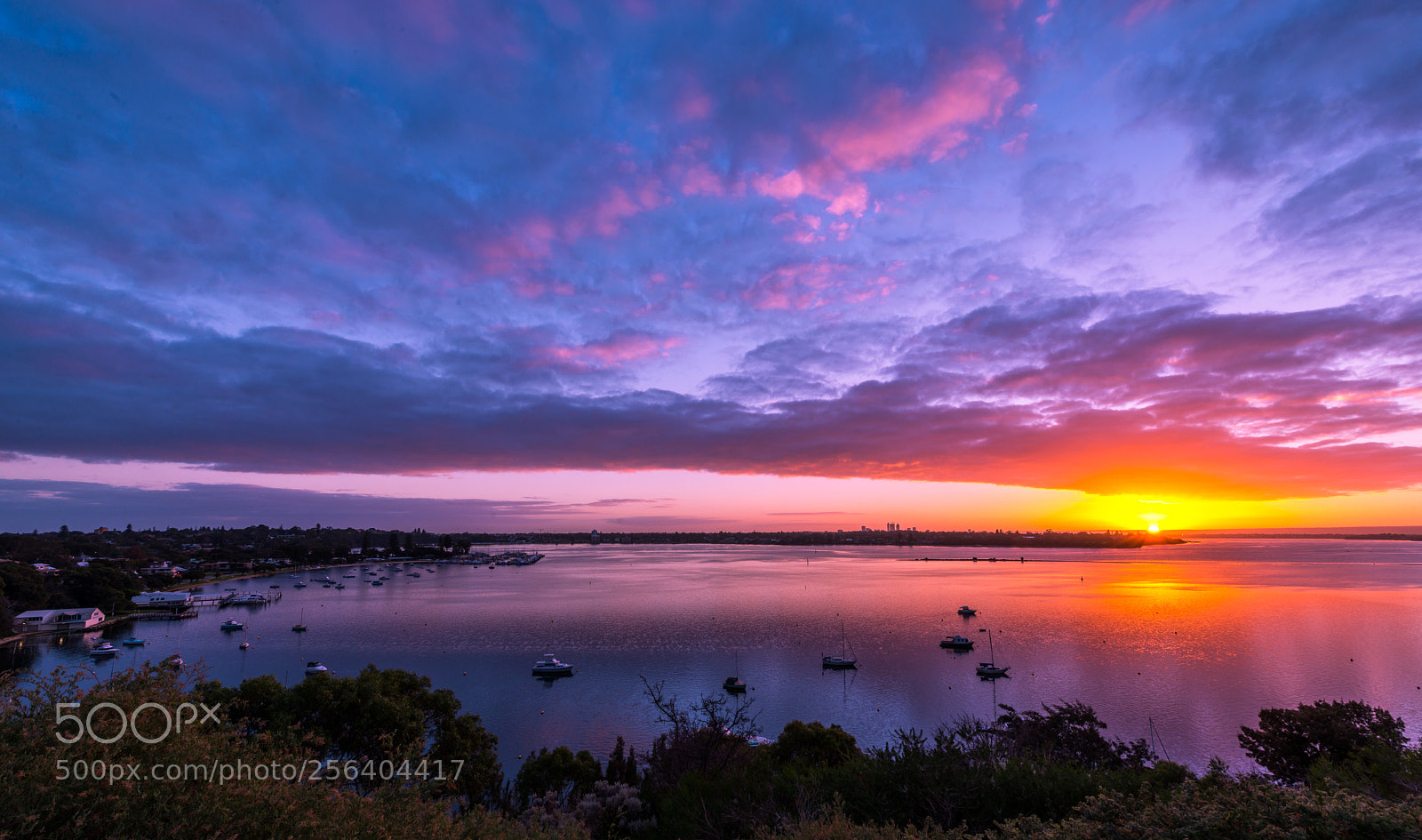 Nikon D800E sample photo. Sunrise in mosman park photography