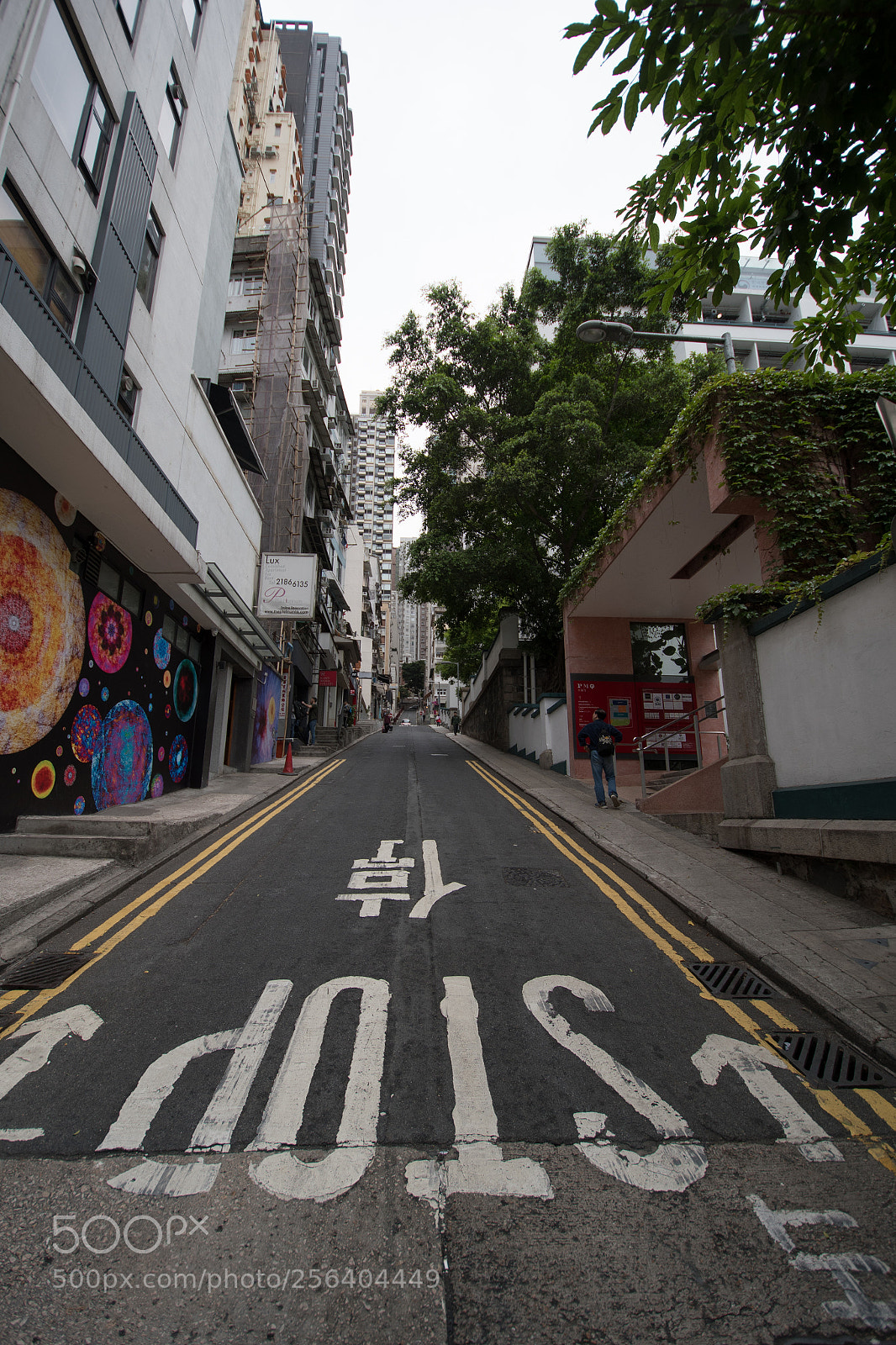 Nikon D500 sample photo. Hong kong photography