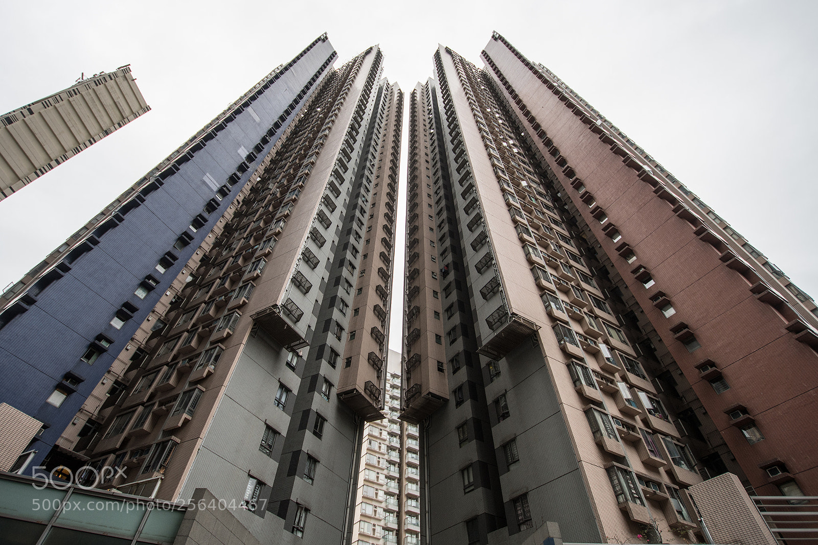 Nikon D500 sample photo. Hong kong photography