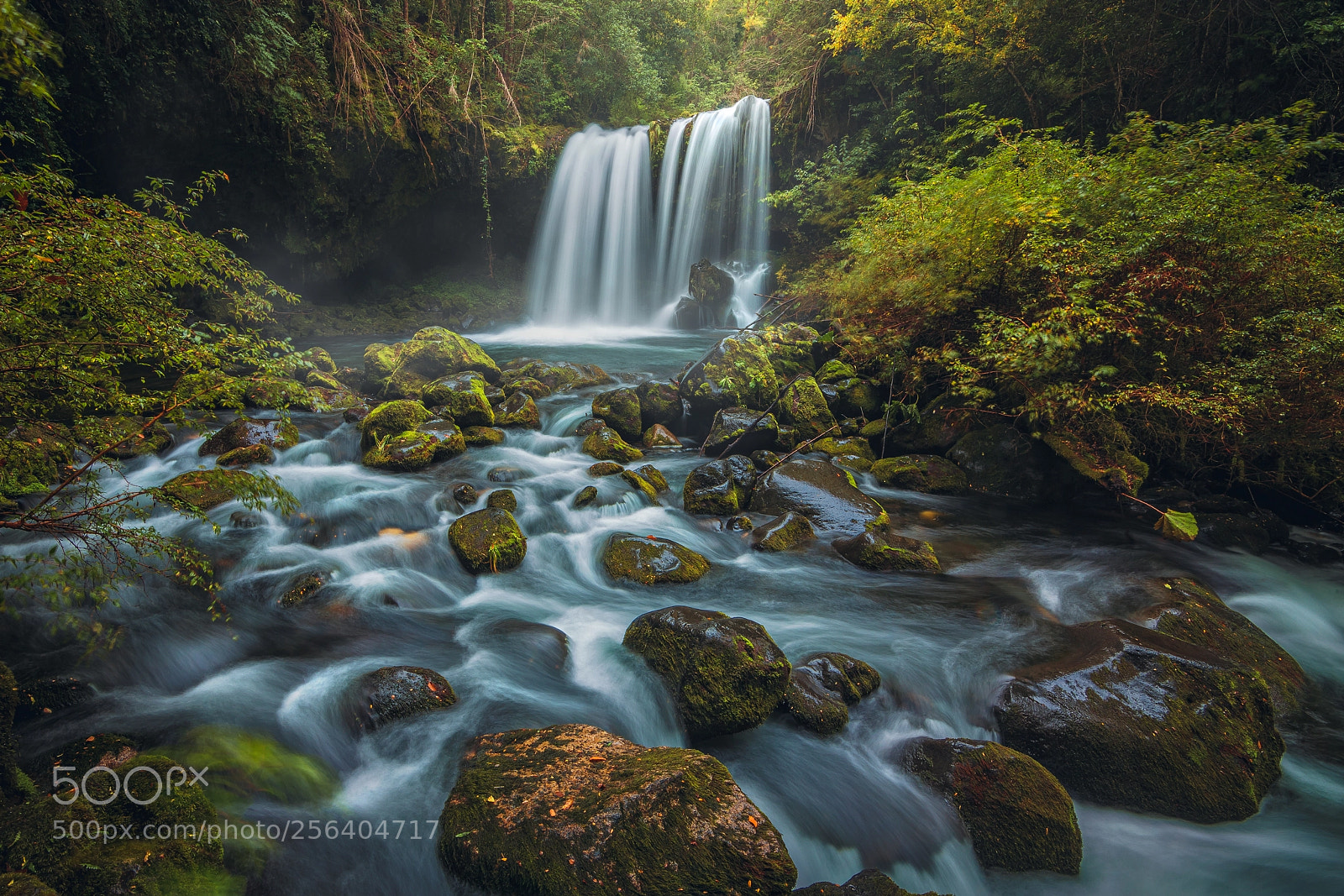 Canon EOS 6D sample photo. Caren falls, curarrehue, chile. photography