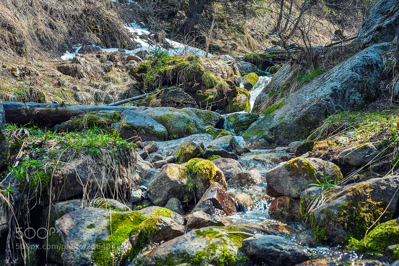 Nikon D700 sample photo. Mountain river photography