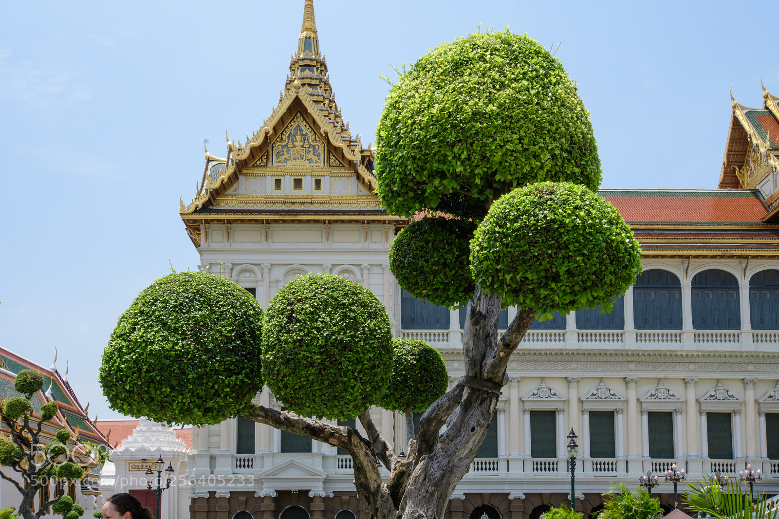 Nikon D500 sample photo. Grand palace thailand photography