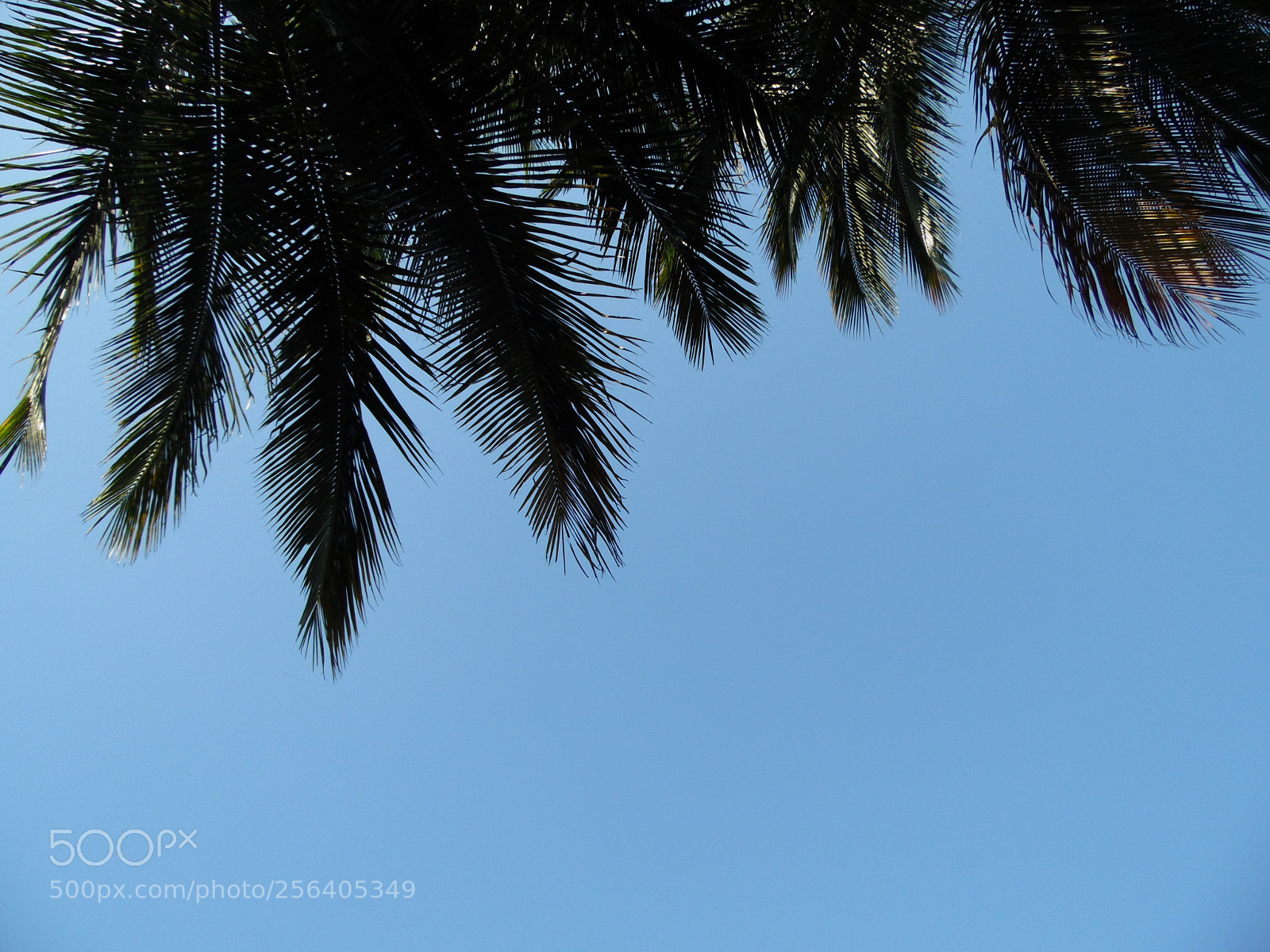 Samsung WB1100F/WB1101F/WB1102F sample photo. "tocar el cielo" photography