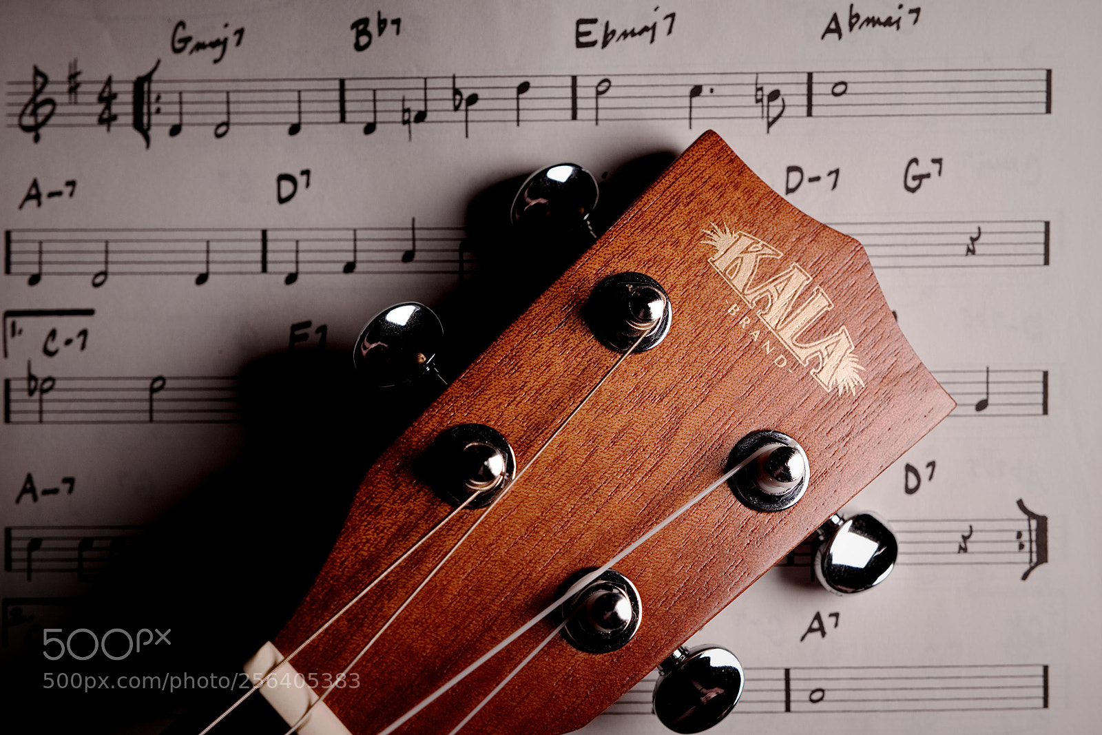 Fujifilm X-T10 sample photo. Hobby photography