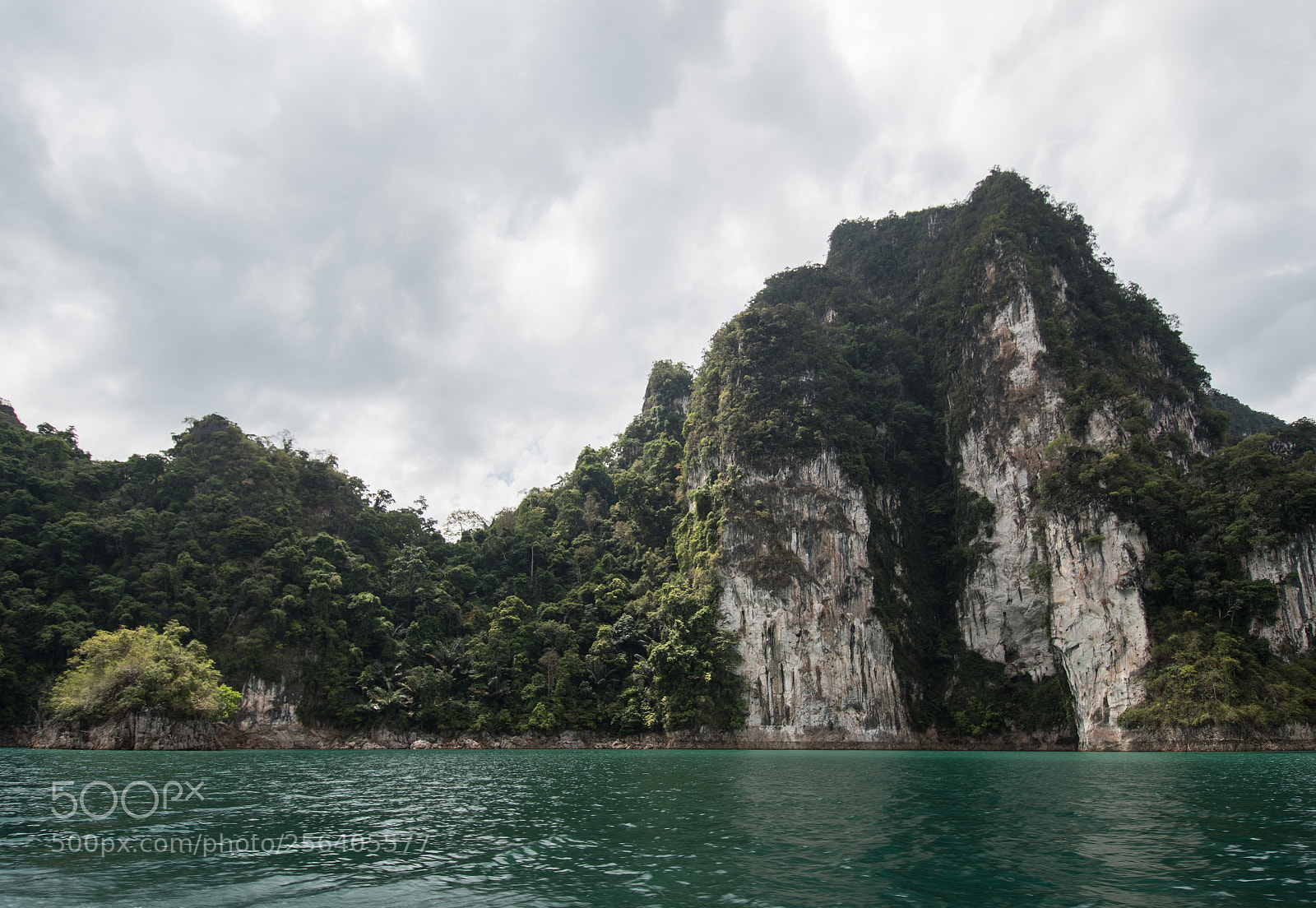 Nikon D500 sample photo. Khao sok national park photography