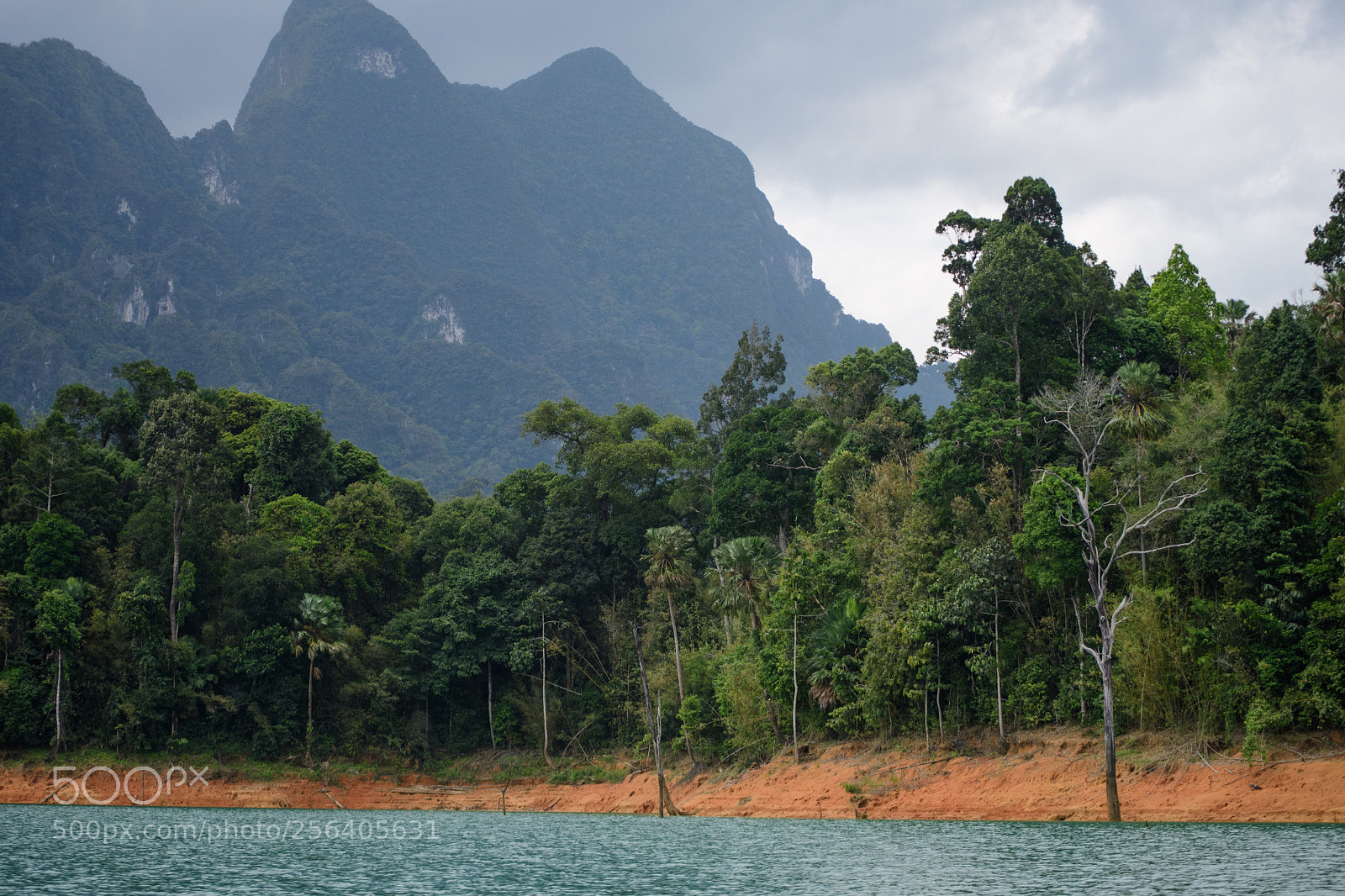 Nikon D500 sample photo. Khao sok national park photography