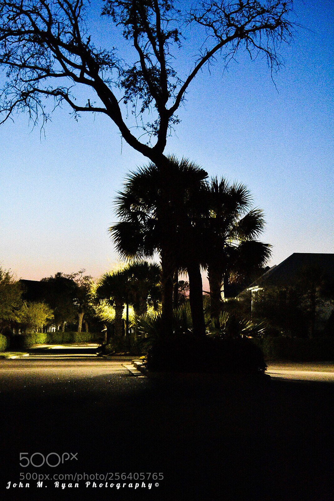 Nikon D3400 sample photo. Night time in south photography