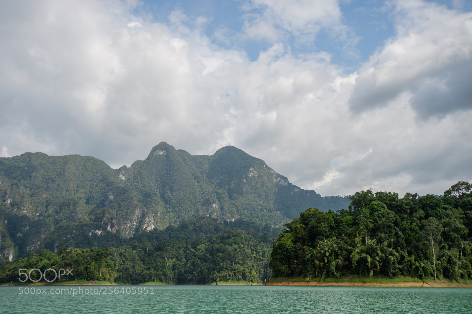 Nikon D500 sample photo. Khao sok national park photography