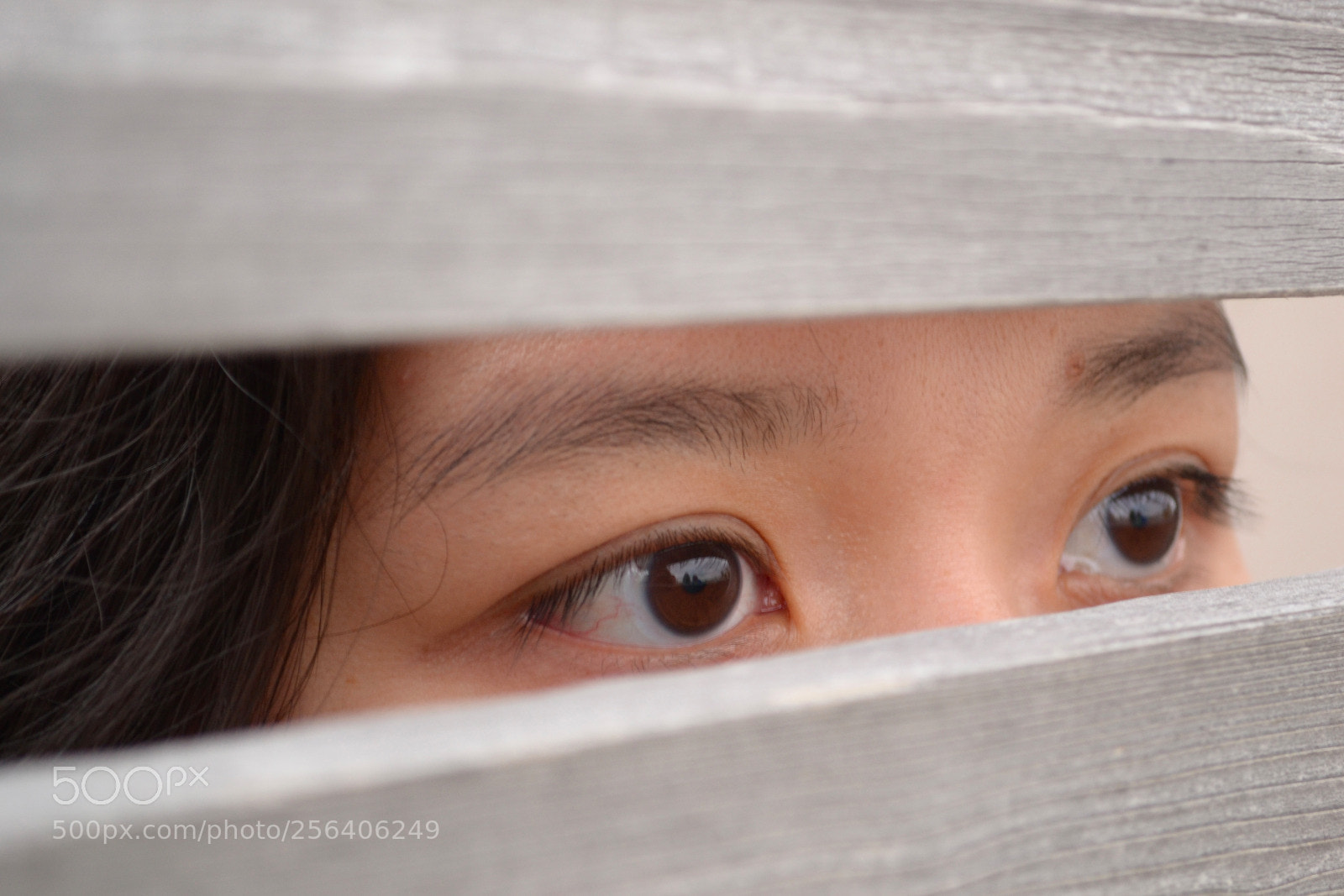 Nikon D3100 sample photo. Fb photography