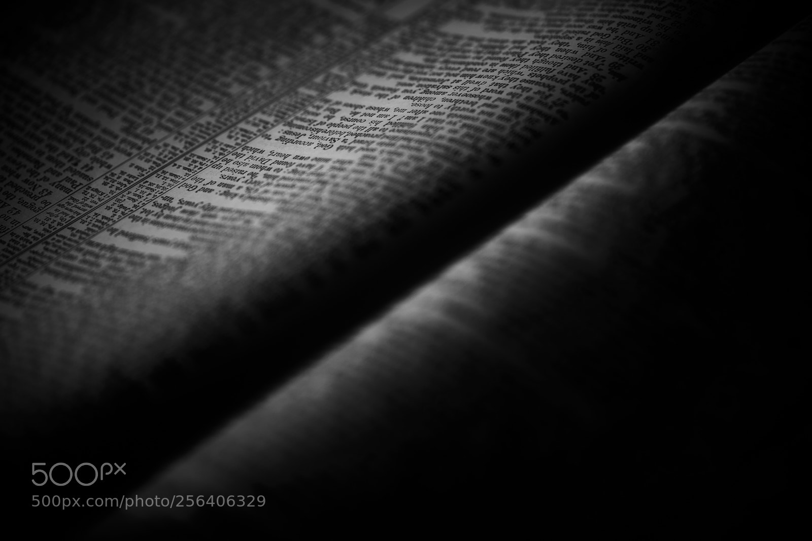 Sony a7 II sample photo. Words photography
